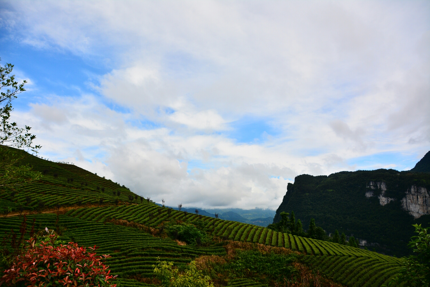 wKgBEFtLEZyARj3_ABDb4QLb55c90.jpeg?imageView2%2F2%2Fw%2F680%2Fq%2F90%7CimageMogr2%2Fstrip%2Fquality%2F90