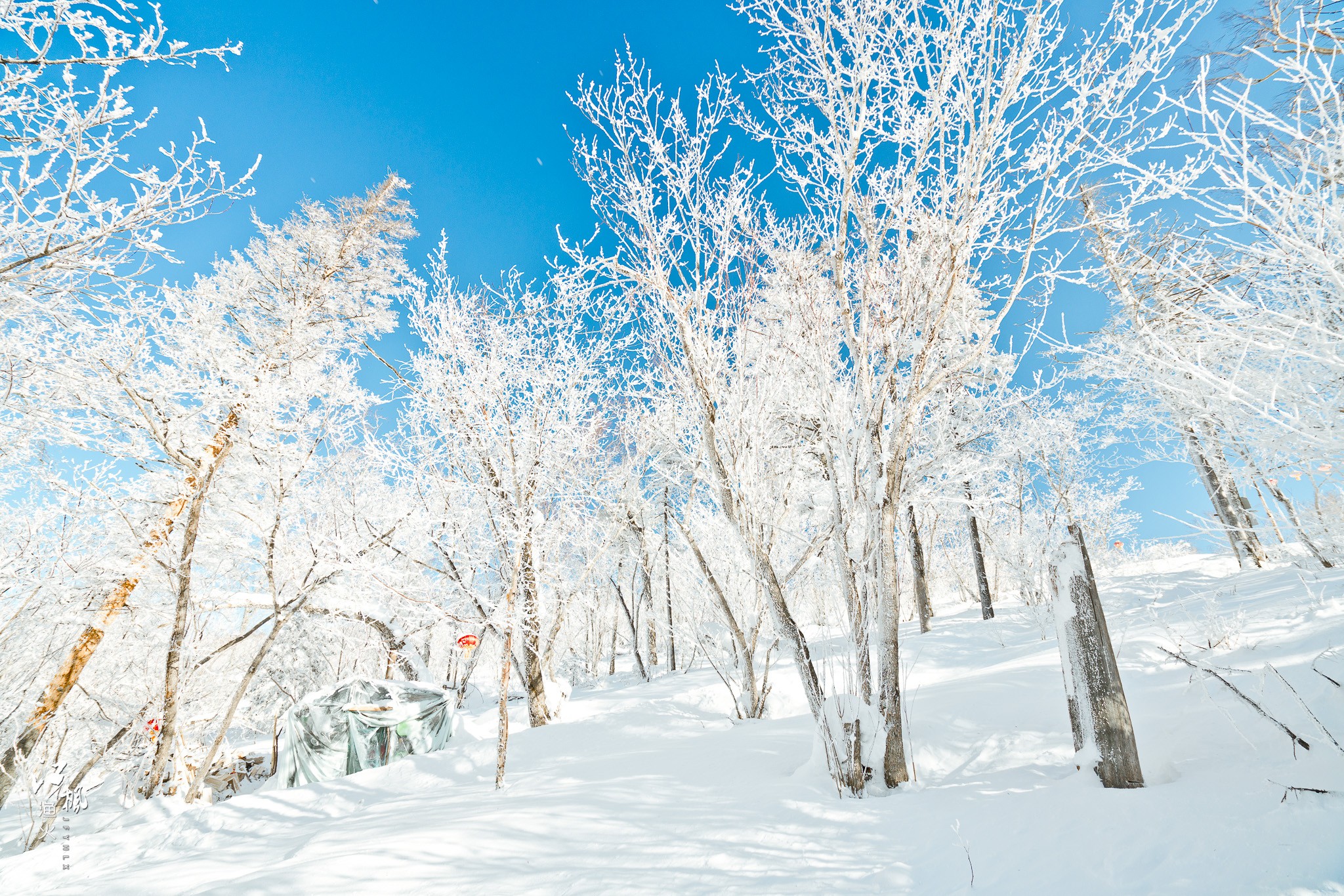 雪鄉自助遊攻略