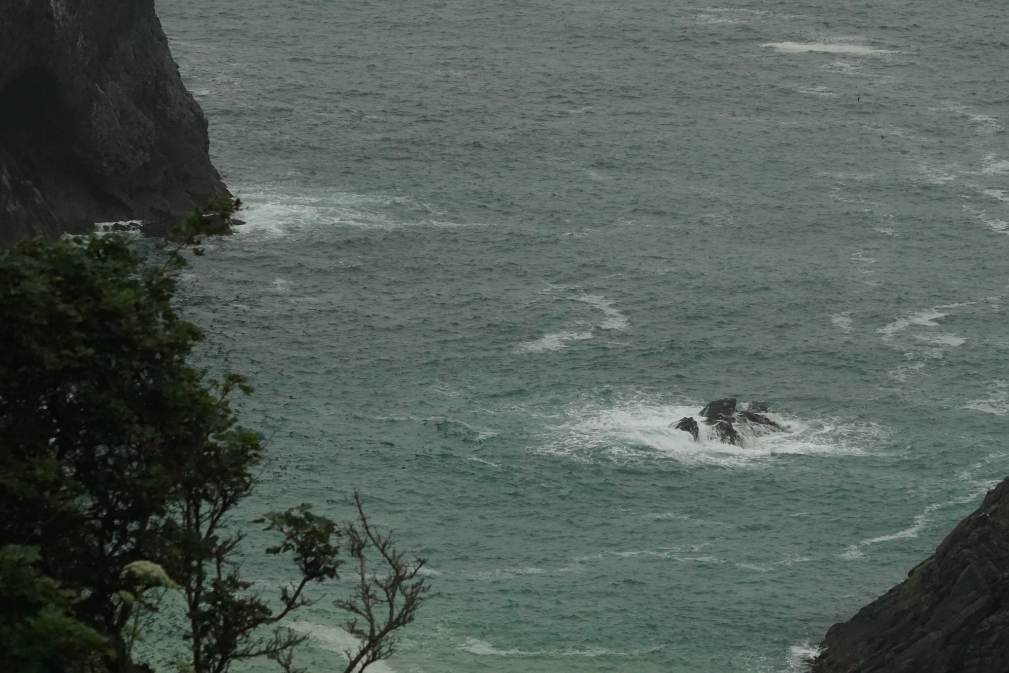 北海道自助遊攻略