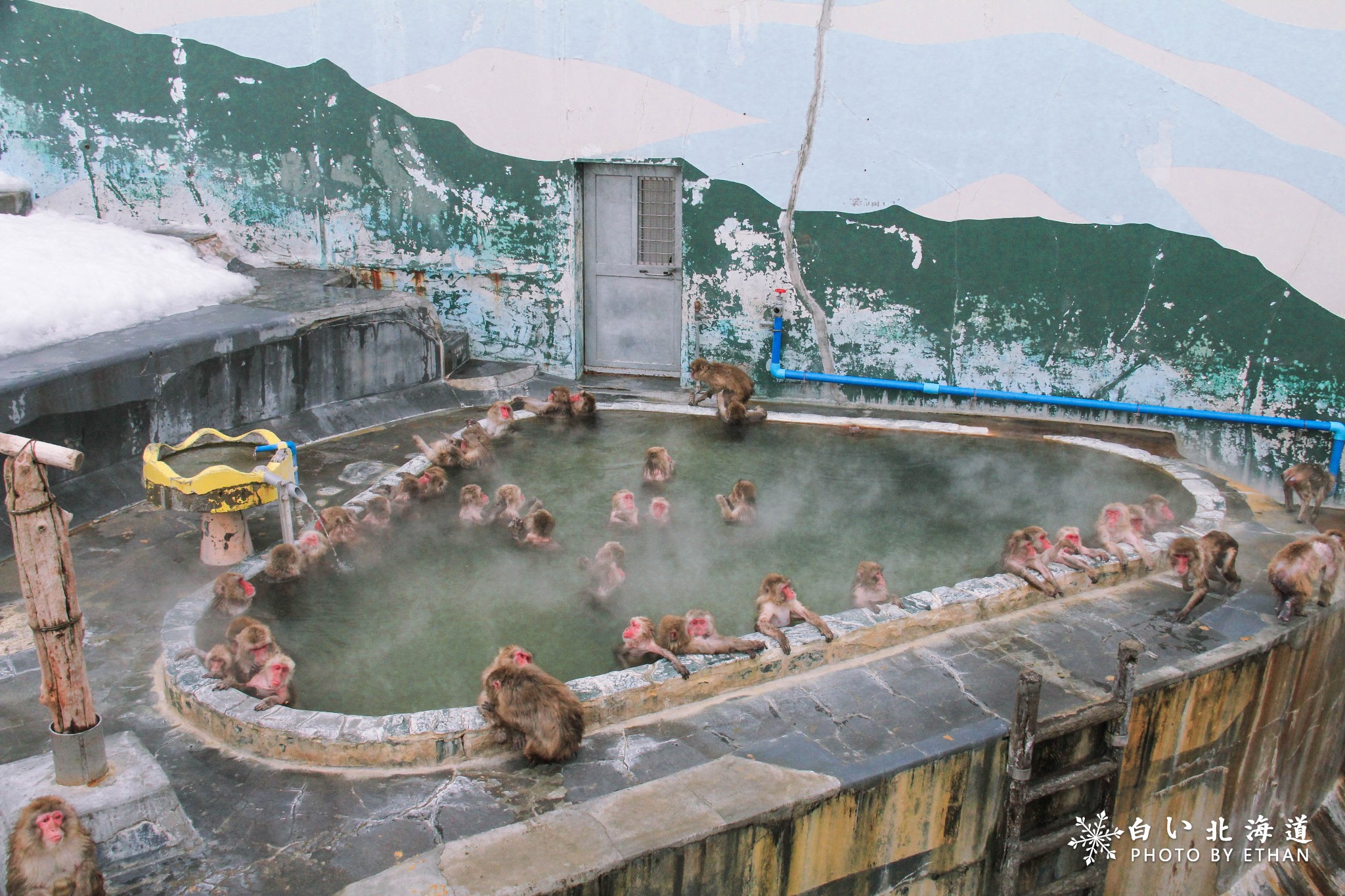 北海道自助遊攻略