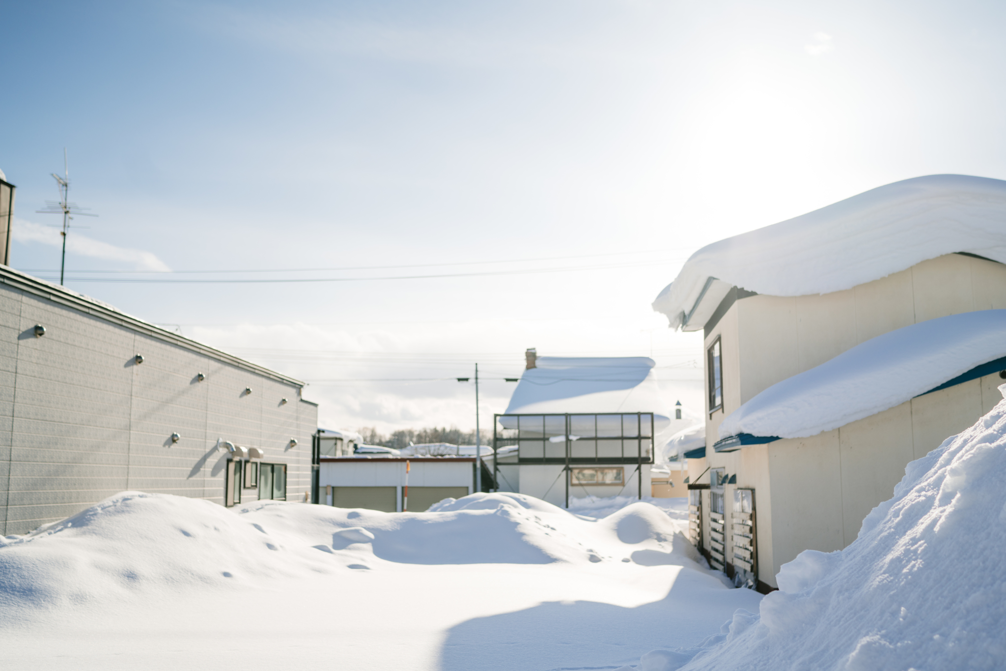 北海道自助遊攻略