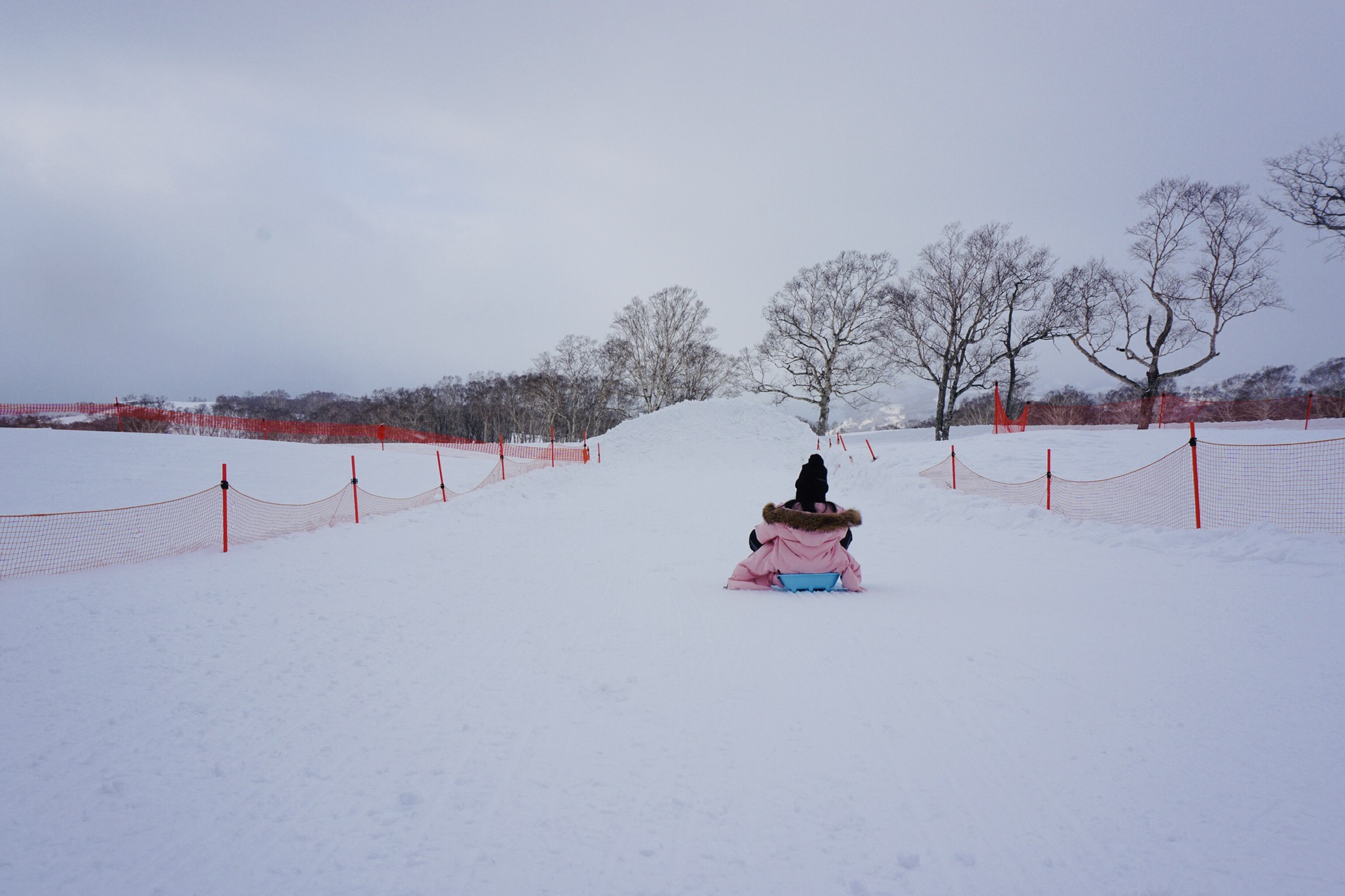 北海道自助遊攻略