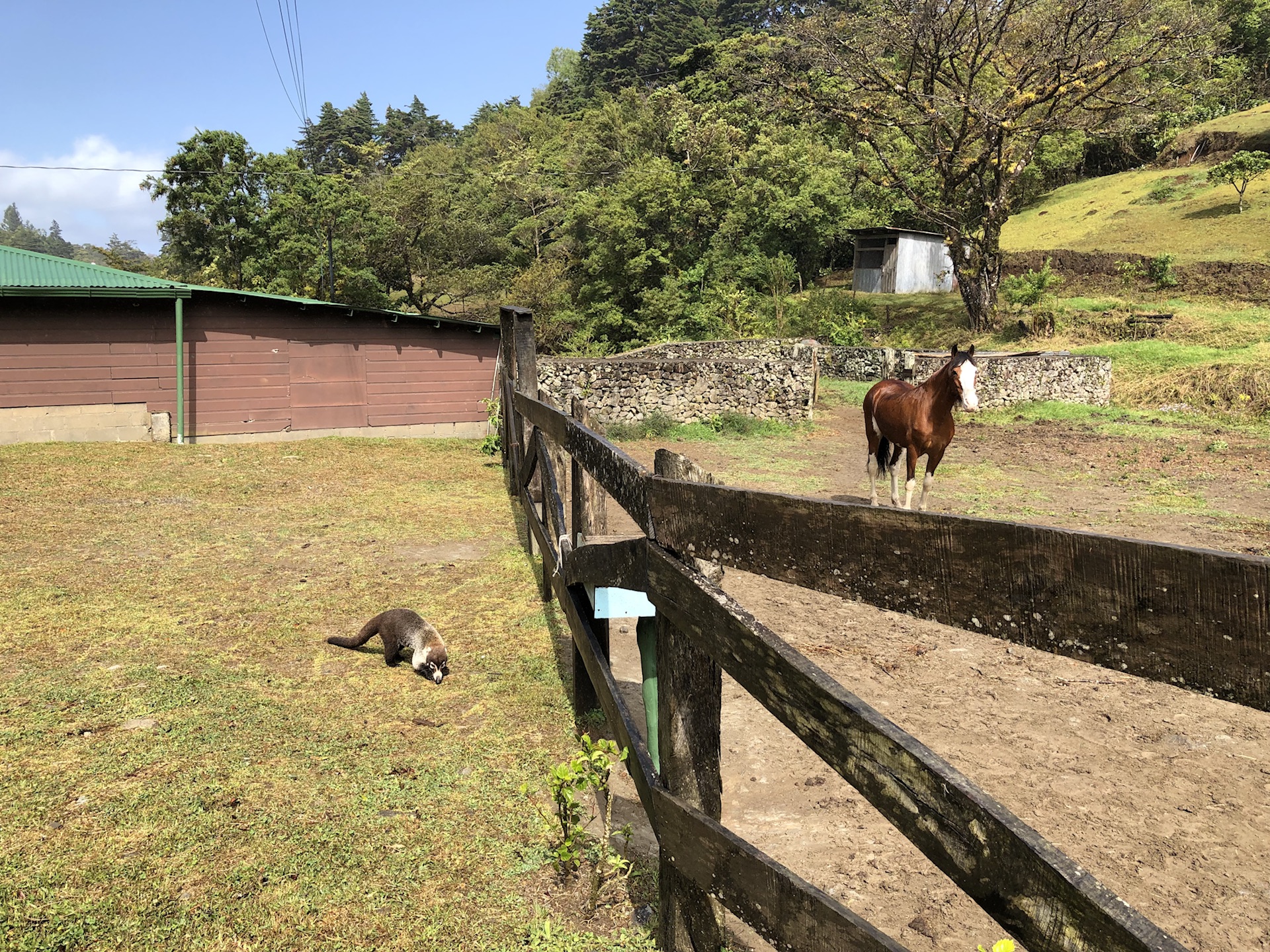 哥斯達黎加自助遊攻略