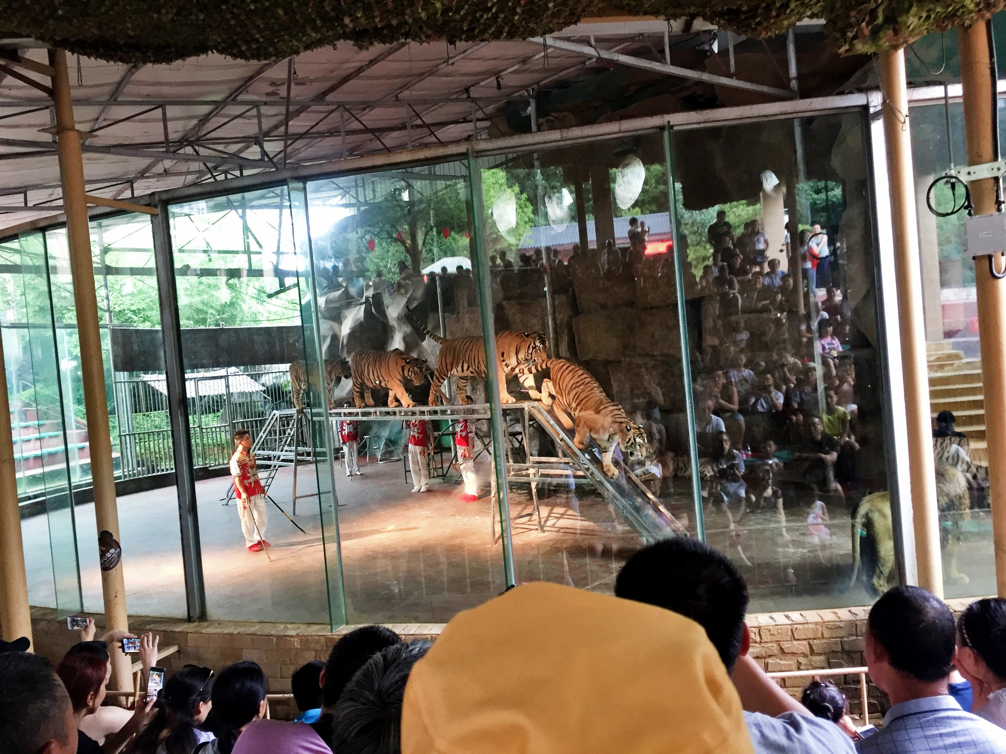 YaAn BiFengXia Wild Life zoo Park