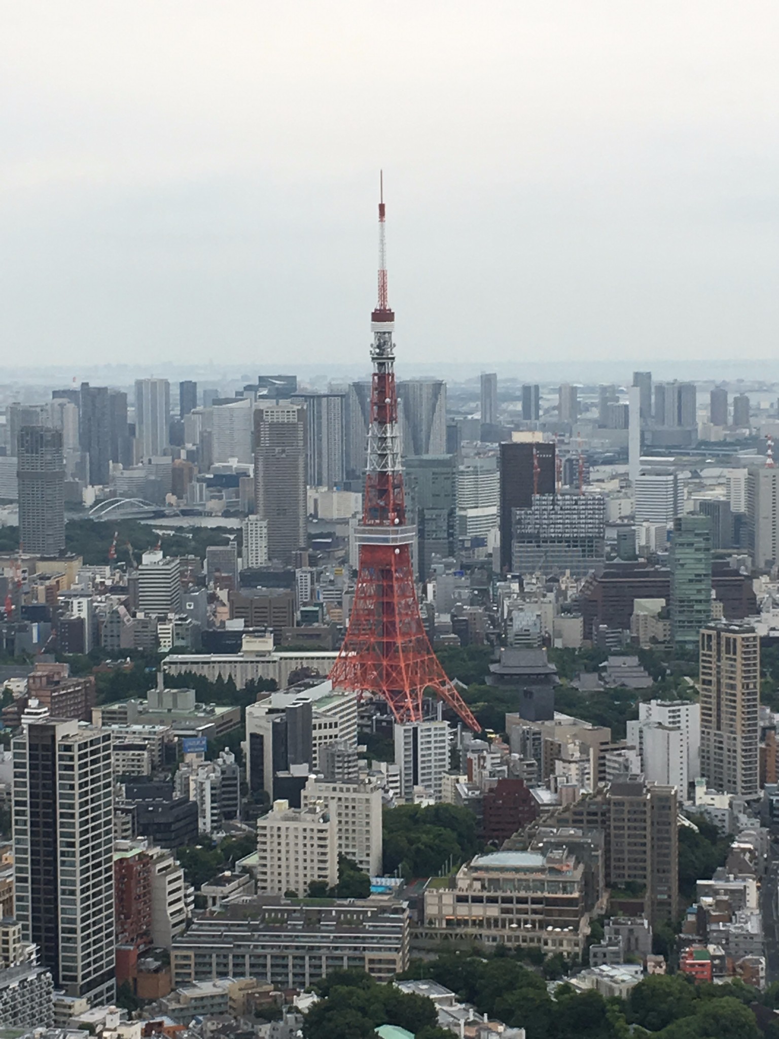 東京自助遊攻略