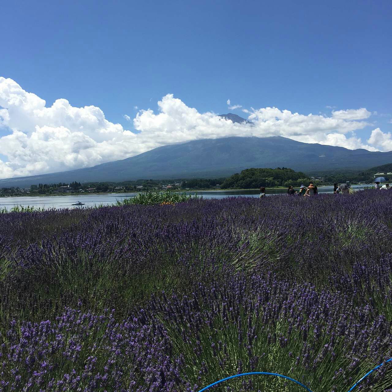 富士山自助遊攻略