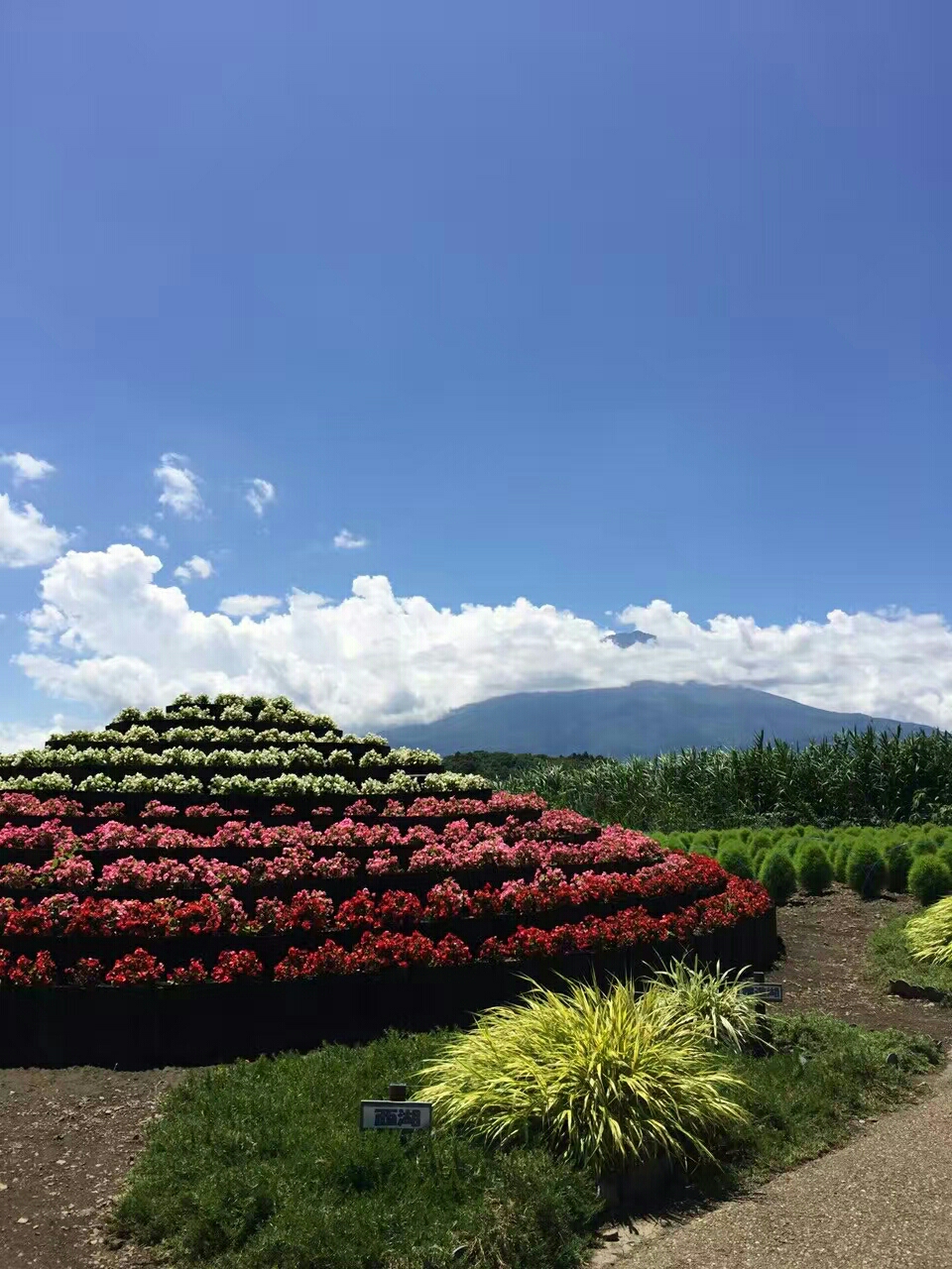 富士山自助遊攻略