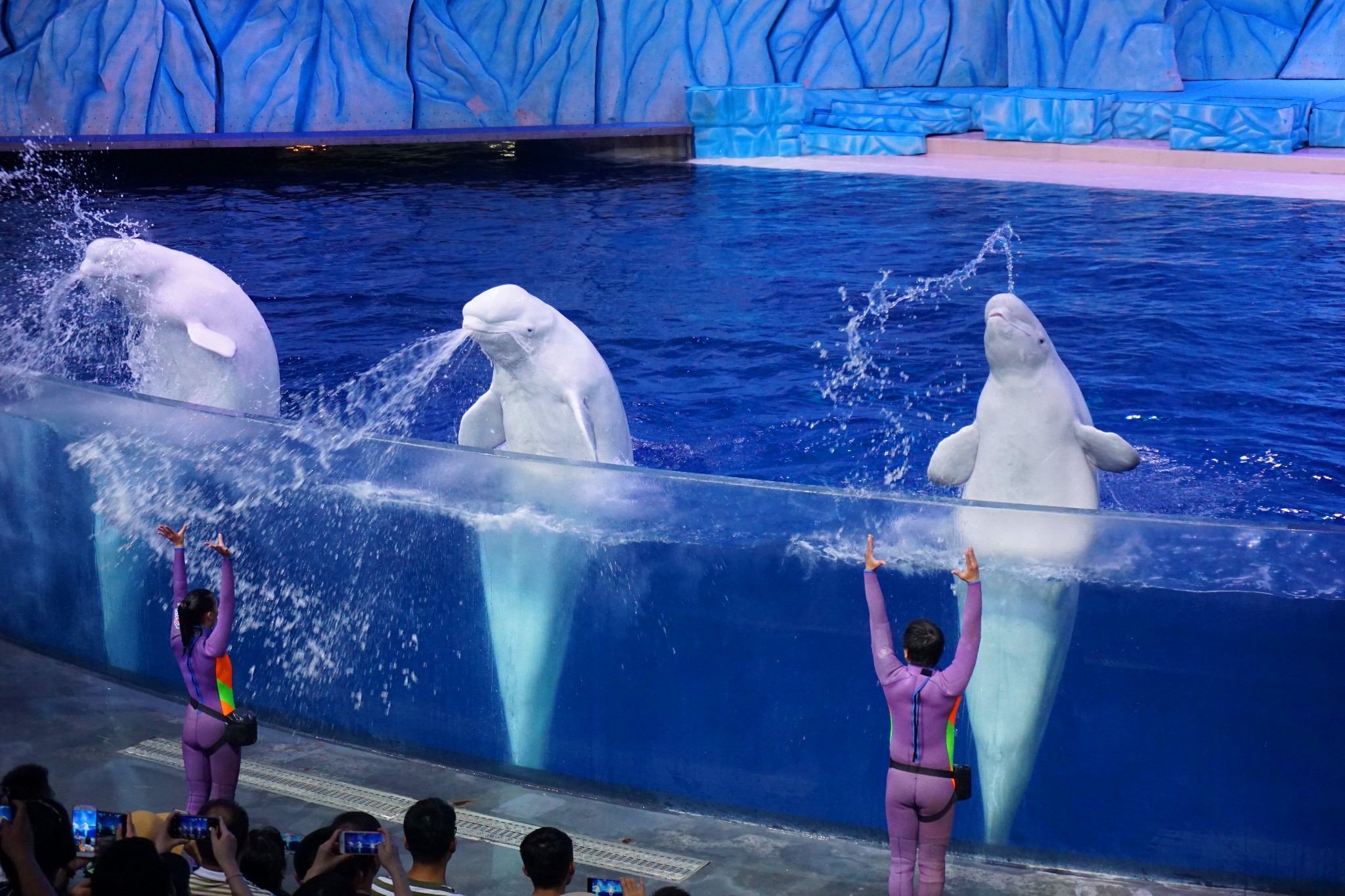 wKgED1ucigeAdO4HAArXHXEW3yg57.jpeg?imageView2%2F2%2Fw%2F680%2Fq%2F90%7CimageMogr2%2Fstrip%2Fquality%2F90