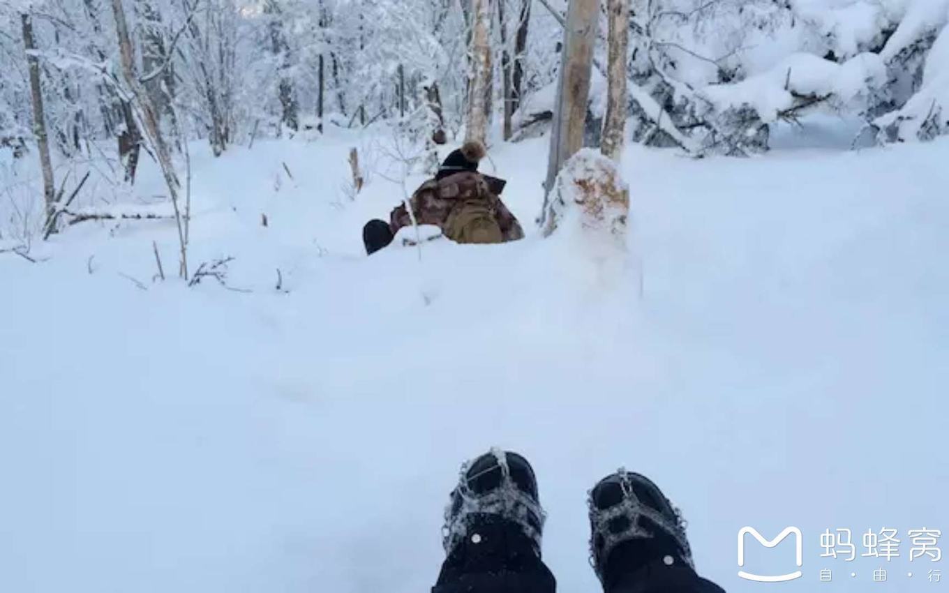 雪鄉自助遊攻略