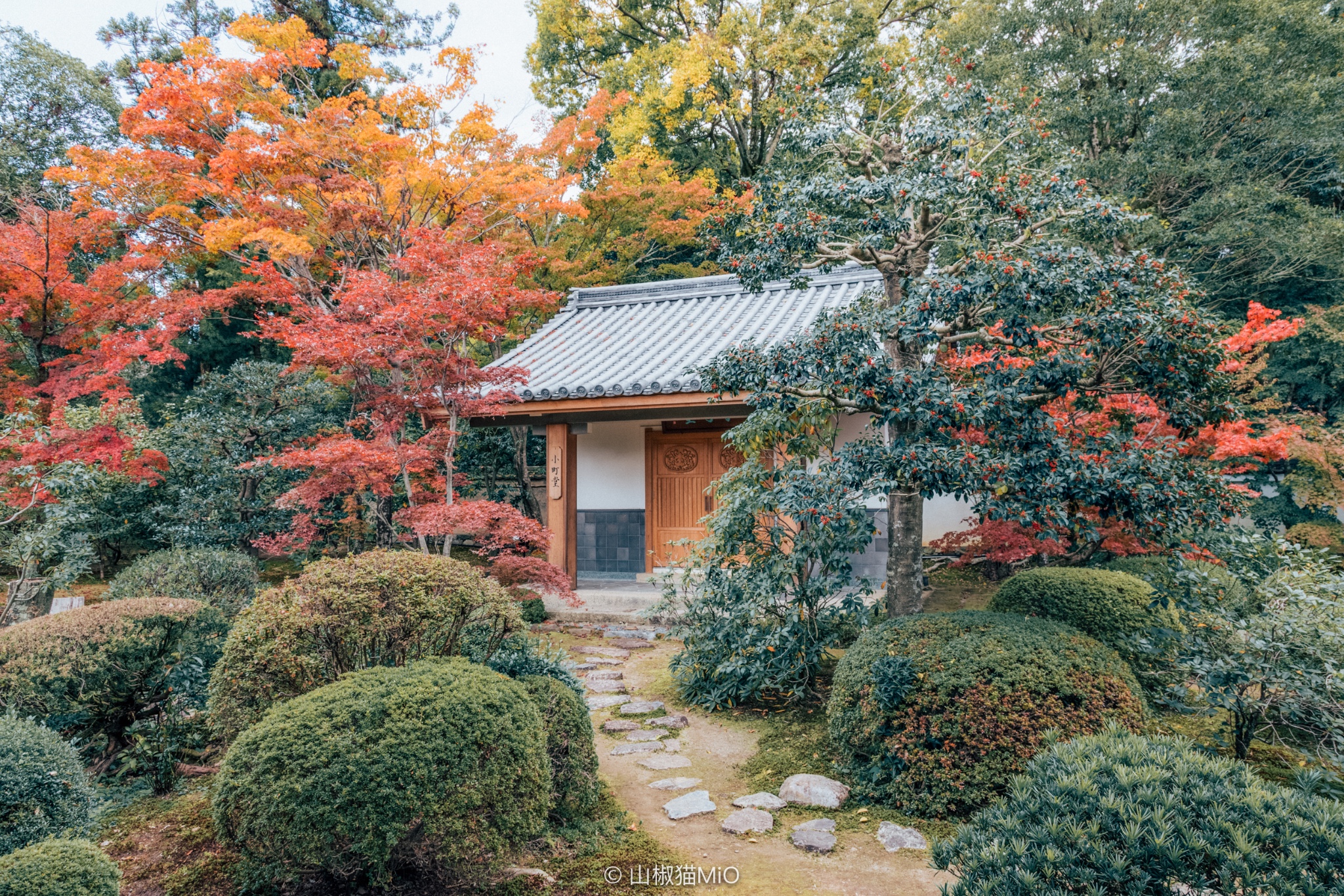 京都自助遊攻略