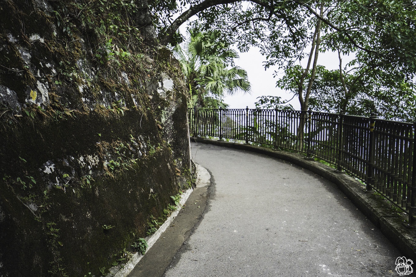 香港自助遊攻略