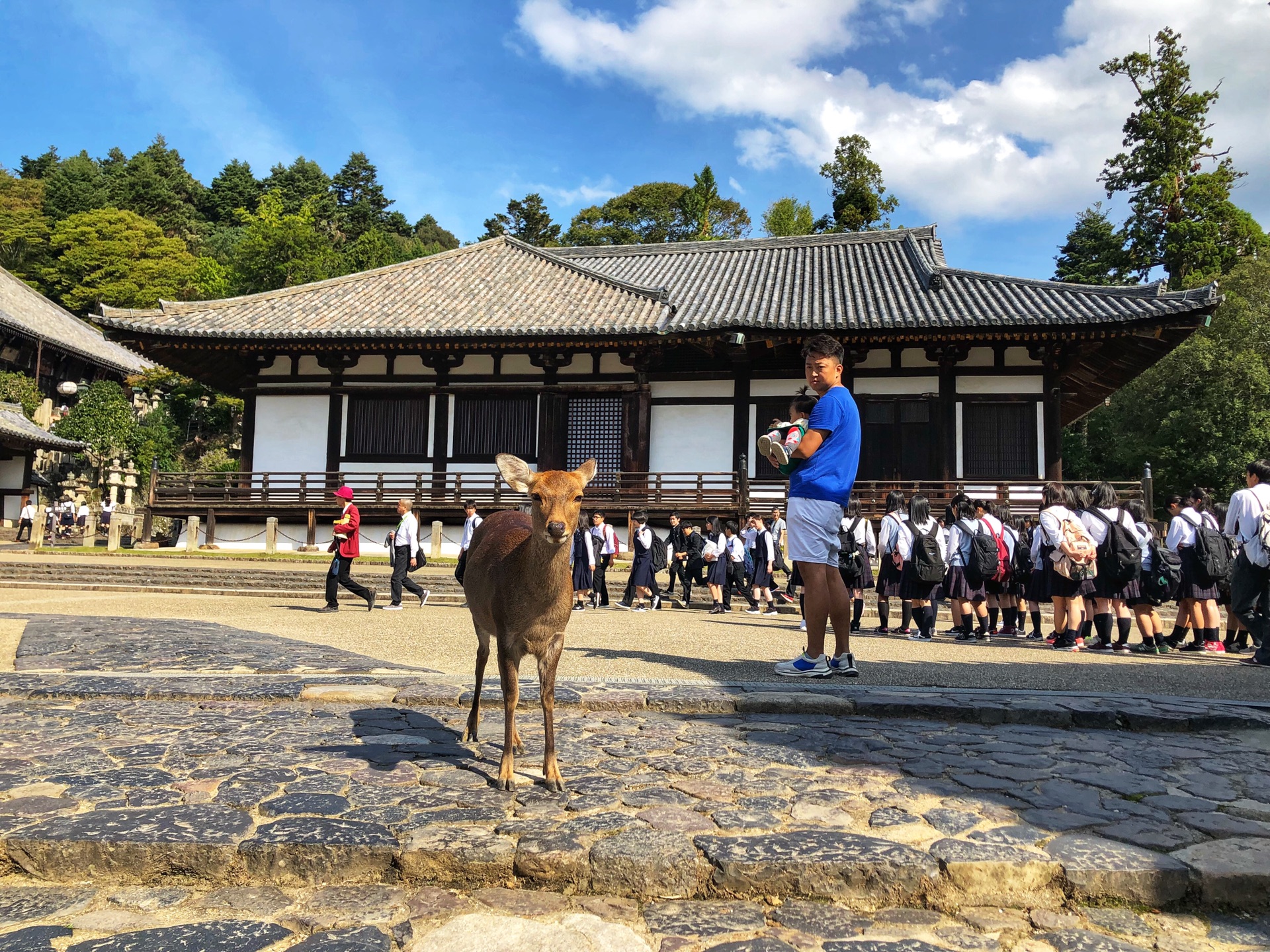 大阪自助遊攻略