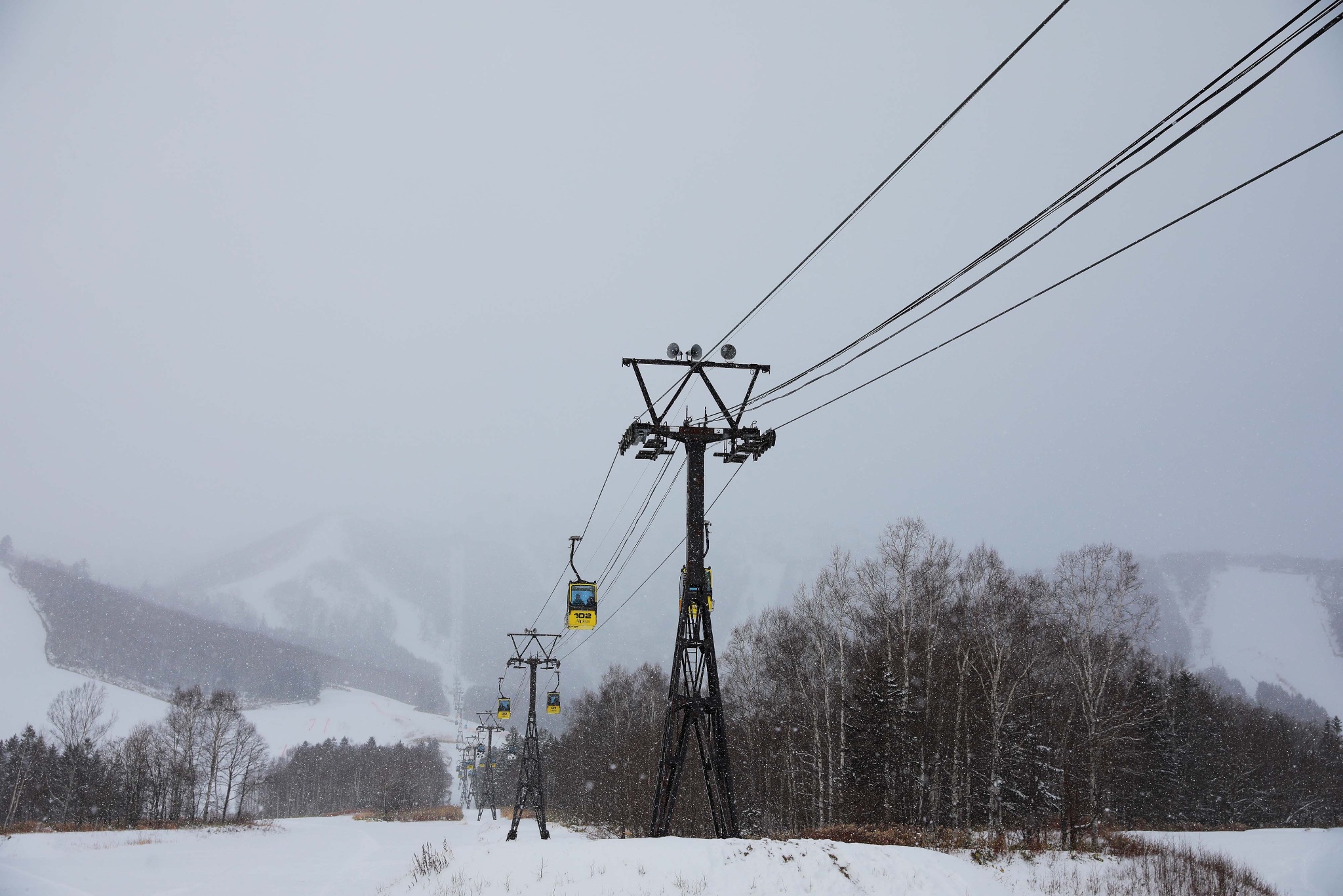 北海道自助遊攻略