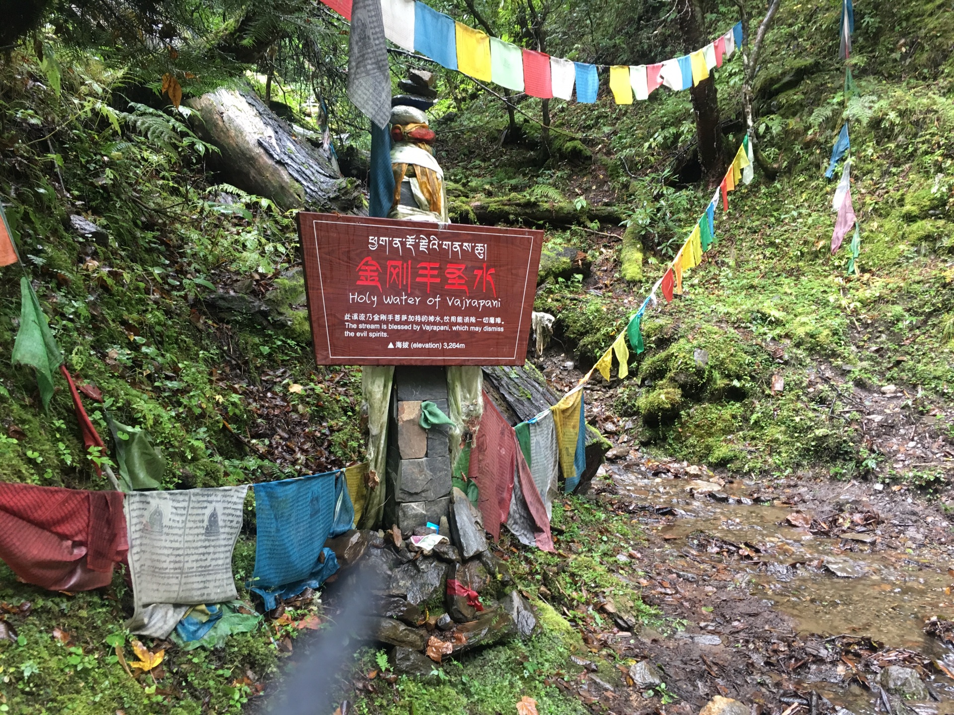 雨崩自助遊攻略