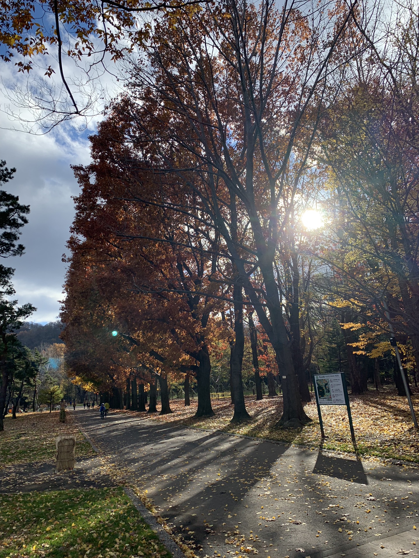 札幌自助遊攻略