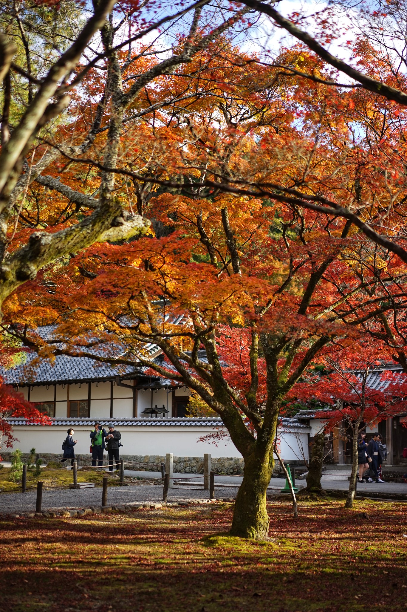 京都自助遊攻略