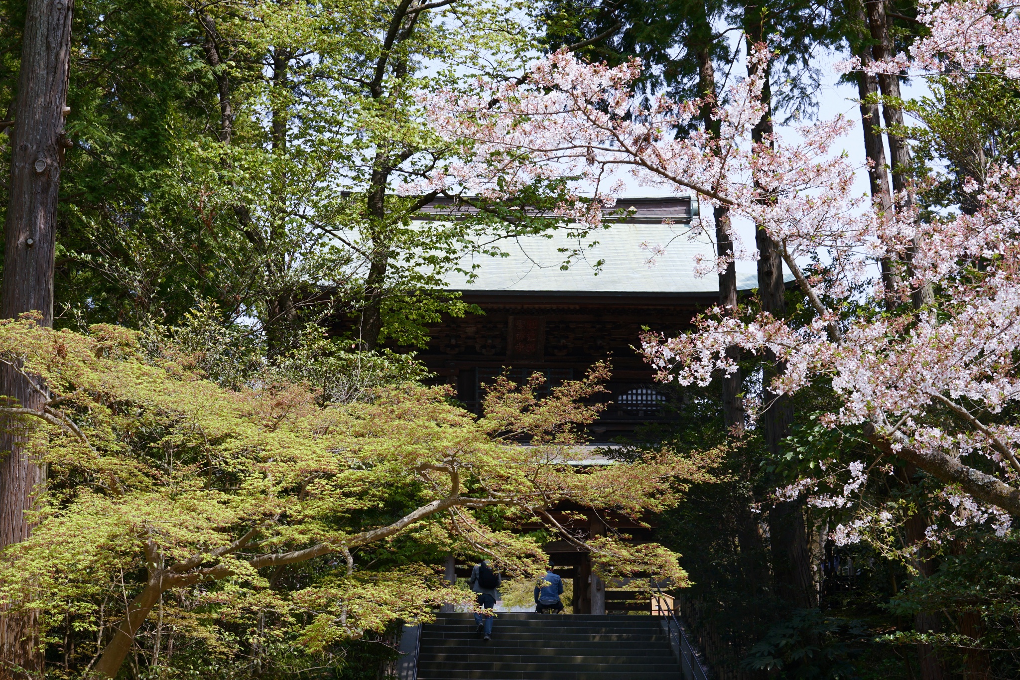 東京自助遊攻略