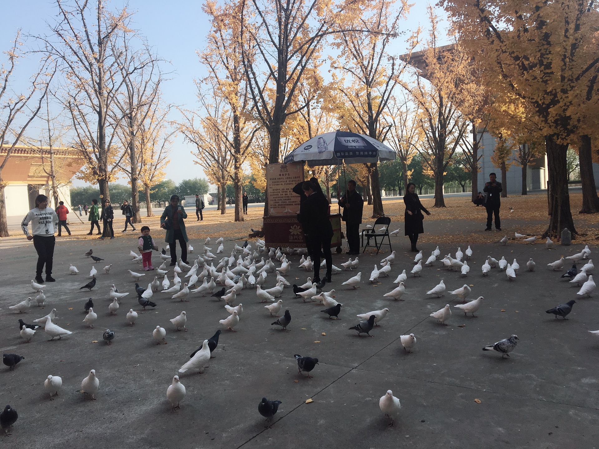 wKgED1vkBvOAdIXZABQPl7keagA48.jpeg?imageView2%2F2%2Fw%2F680%2Fq%2F90%7CimageMogr2%2Fstrip%2Fquality%2F90