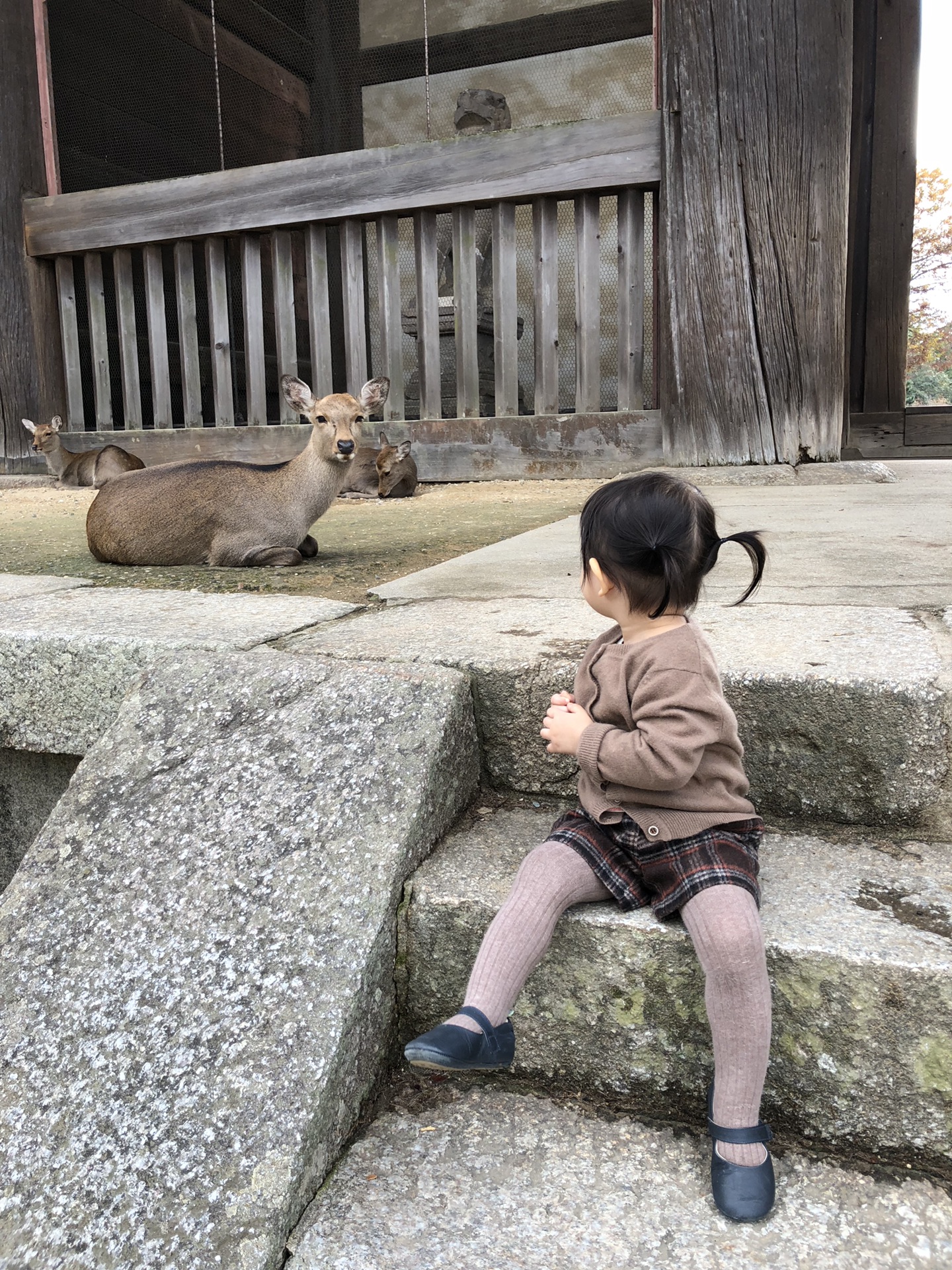 大阪自助遊攻略