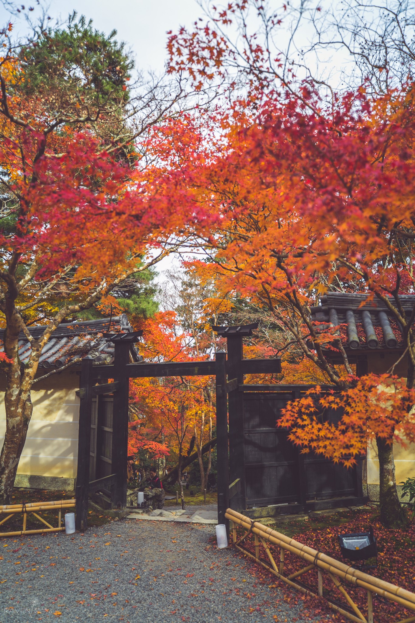 京都自助遊攻略