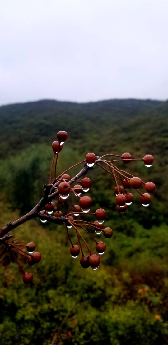 澠池自助遊攻略