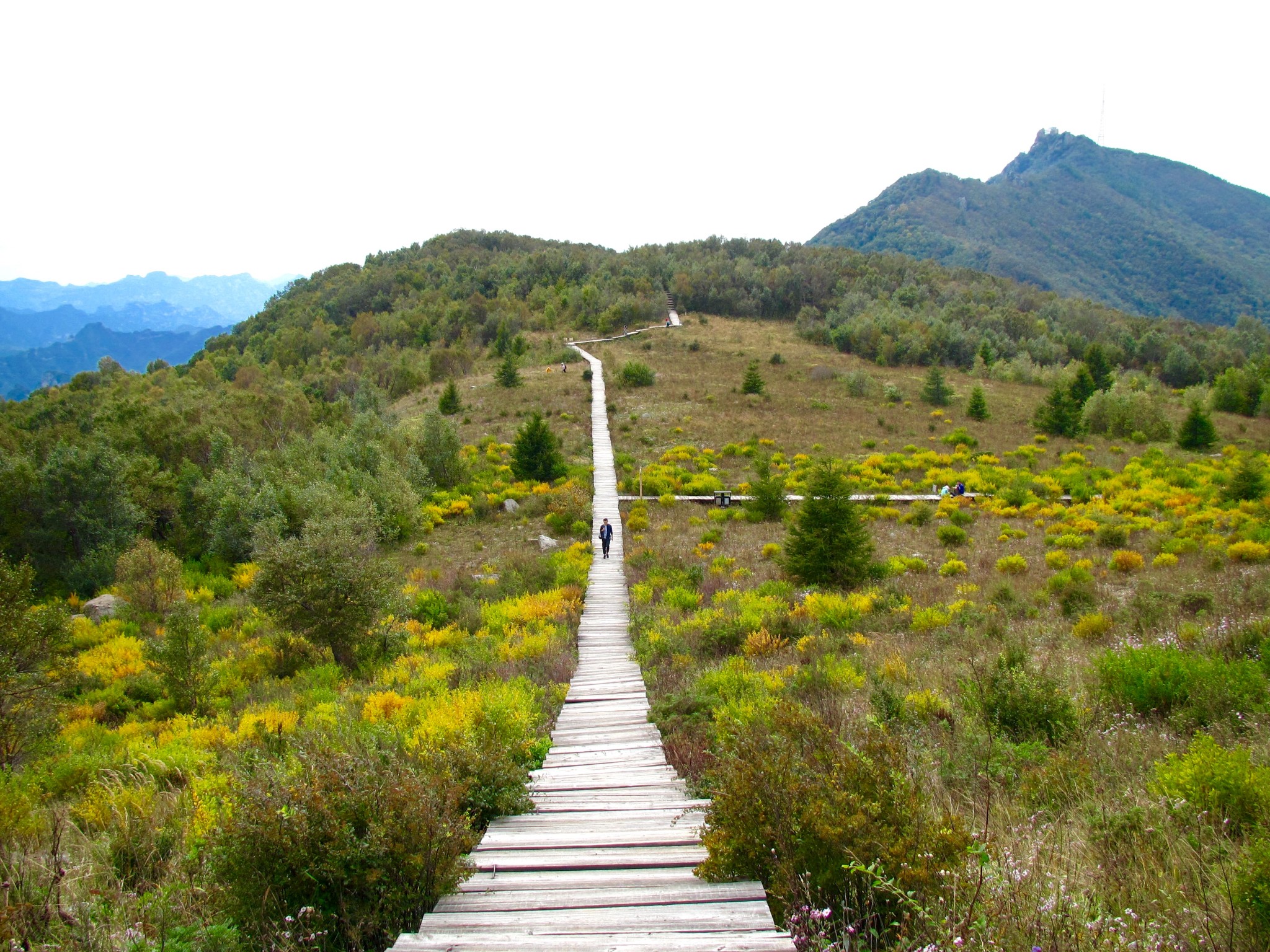 山野尋花之百花山(三)圖片120,房山旅遊景點,風景名勝 - 馬蜂窩圖庫