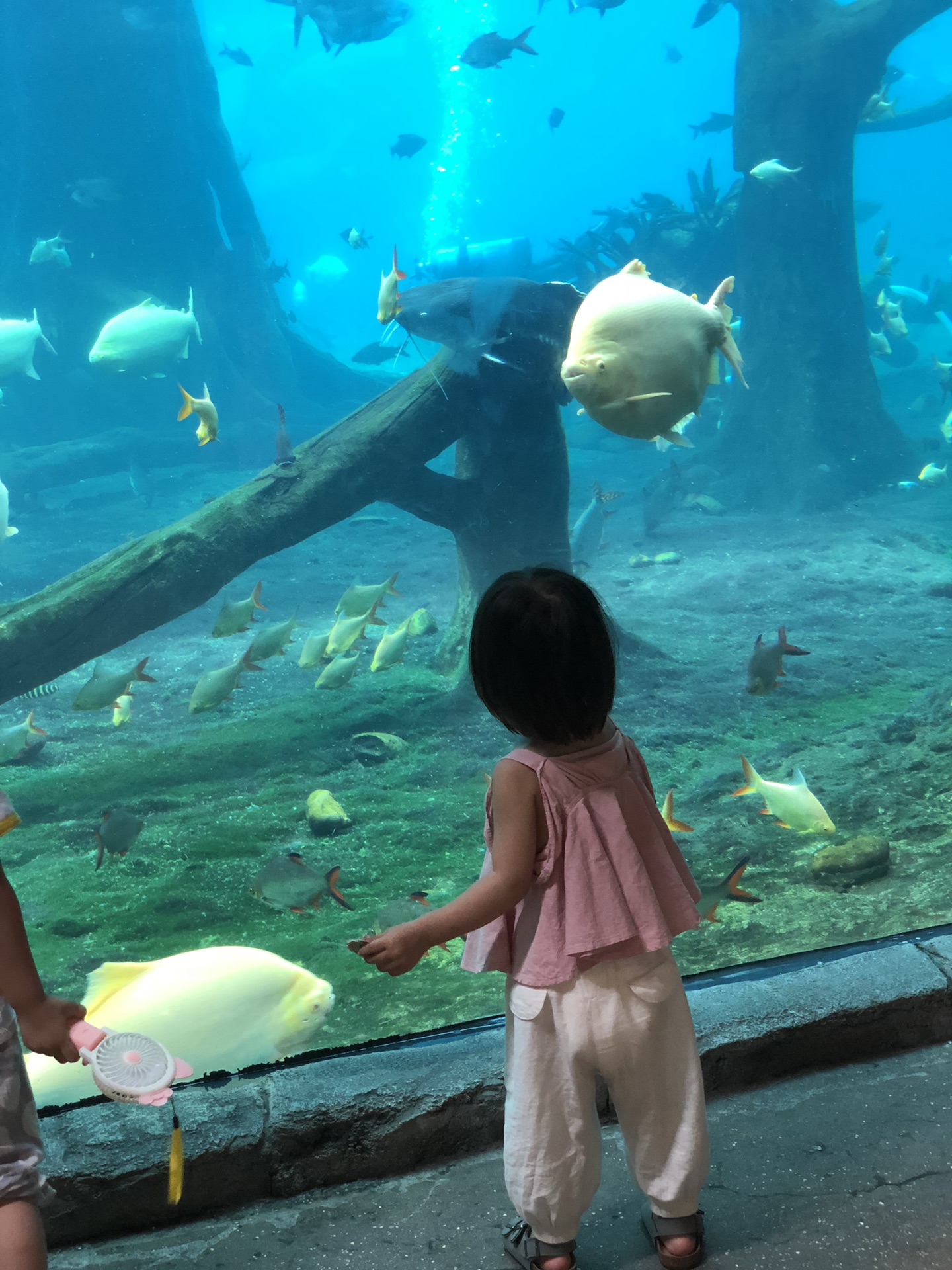 wKgED1wmYZ6AZPP3AAlbAFGvZjg71.jpeg?imageView2%2F2%2Fw%2F680%2Fq%2F90%7CimageMogr2%2Fstrip%2Fquality%2F90