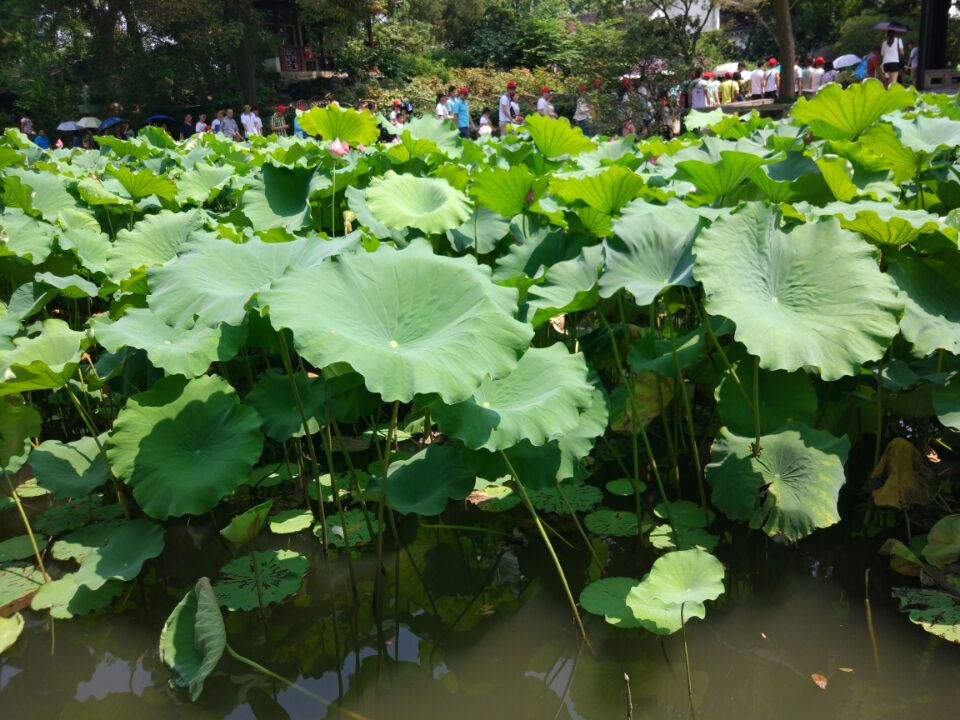 蘇州自助遊攻略