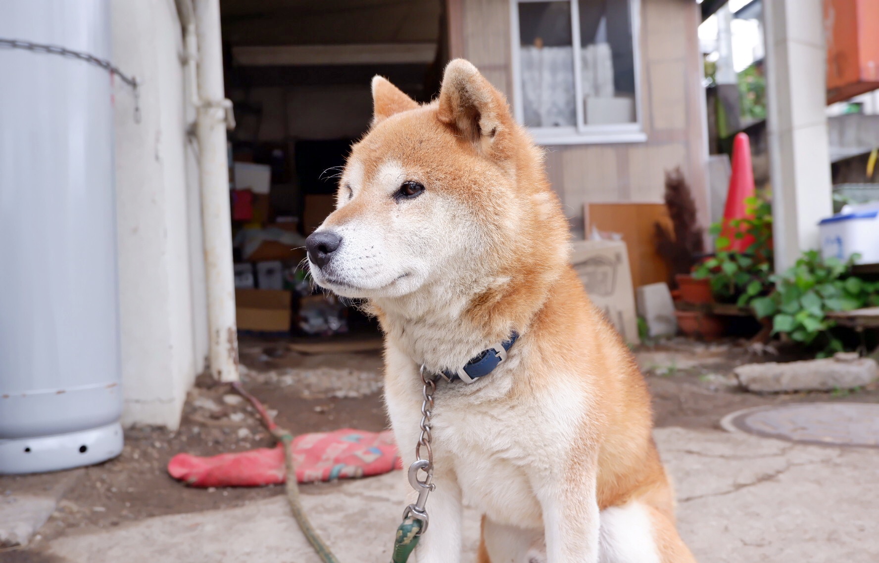 輕井澤自助遊攻略