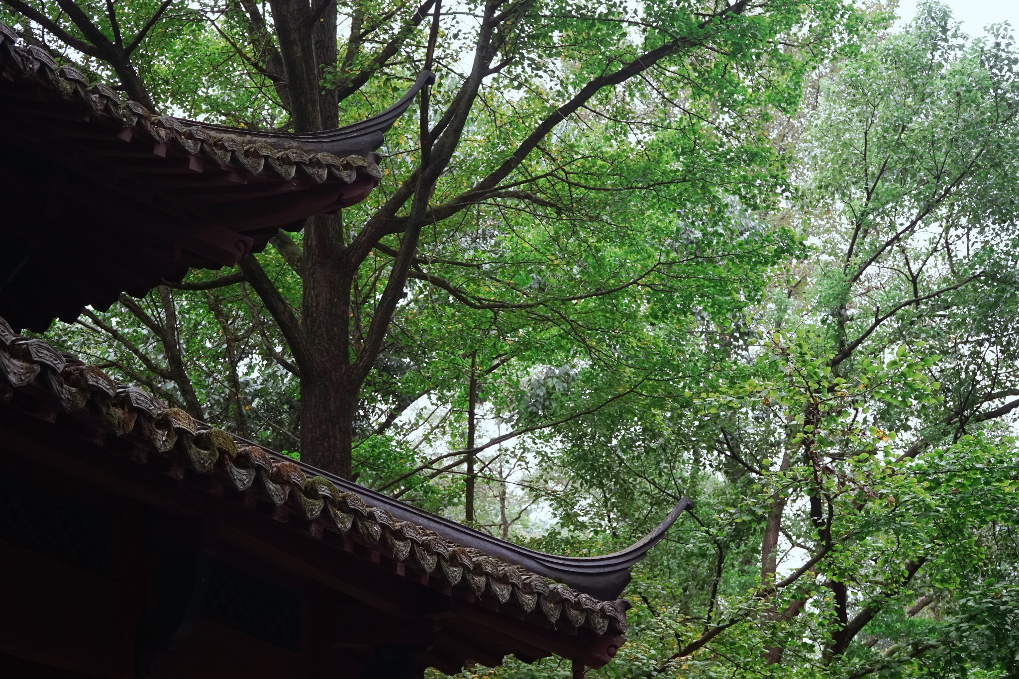 東極島自助遊攻略