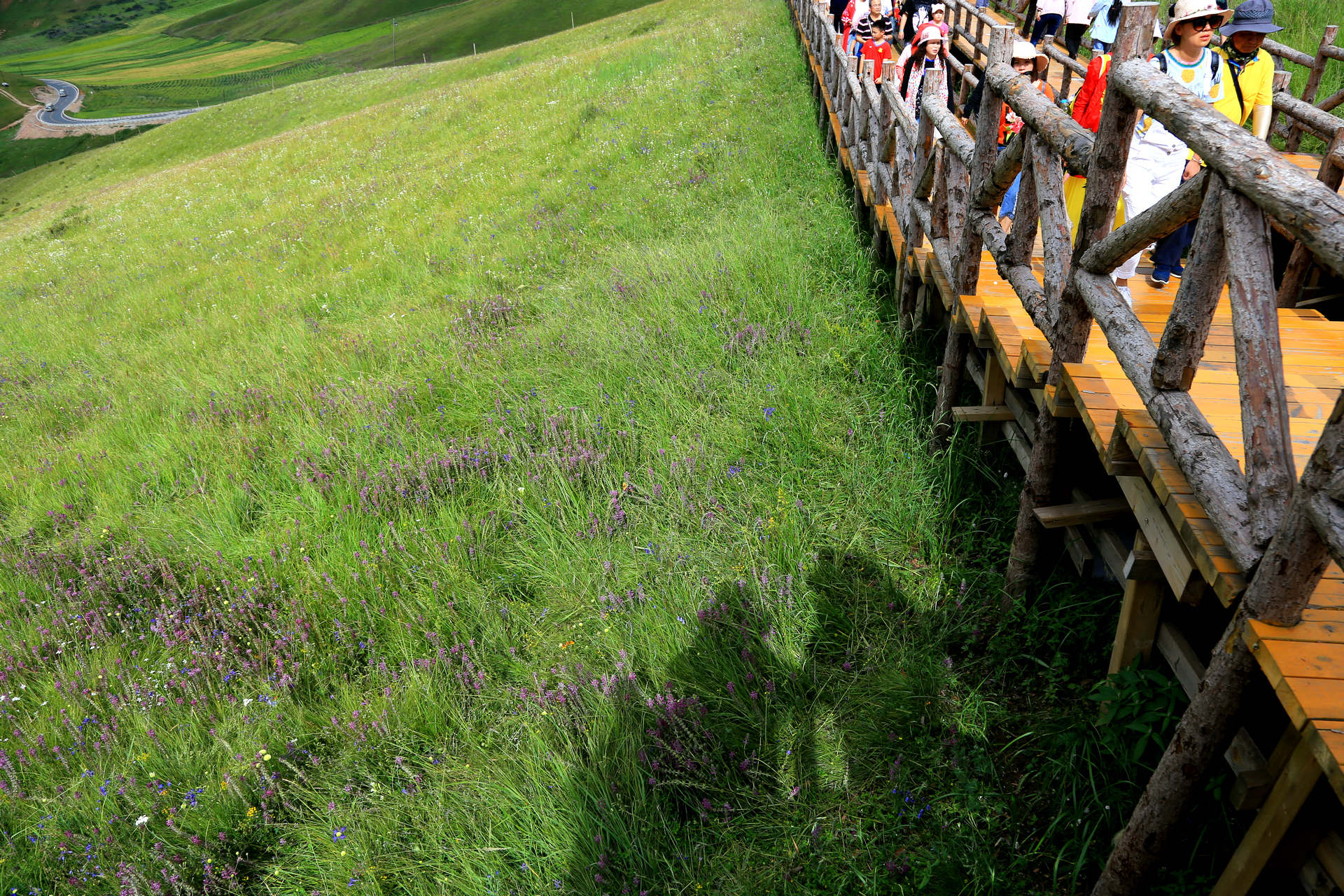 QiLian Zhuoer Mountain