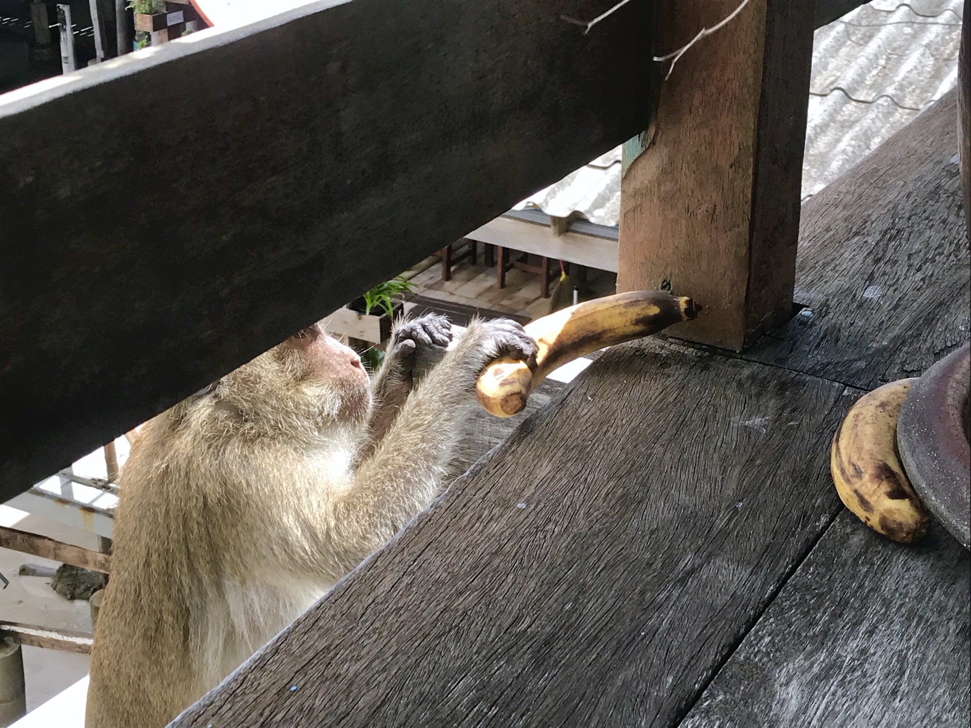 華欣自助遊攻略