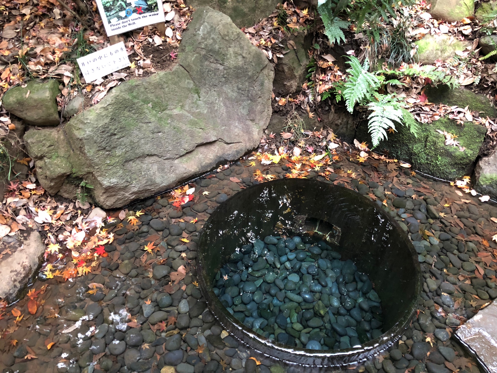 富士山自助遊攻略