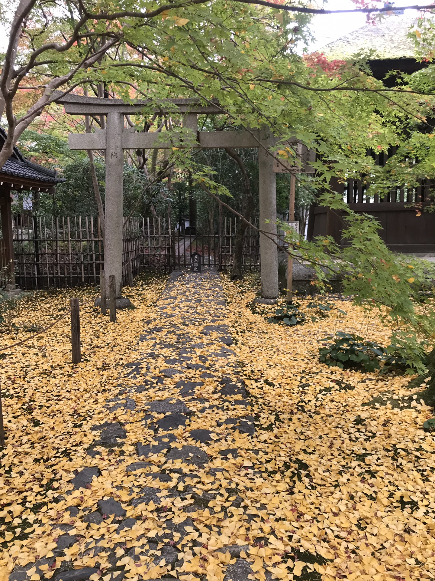 日本自助遊攻略