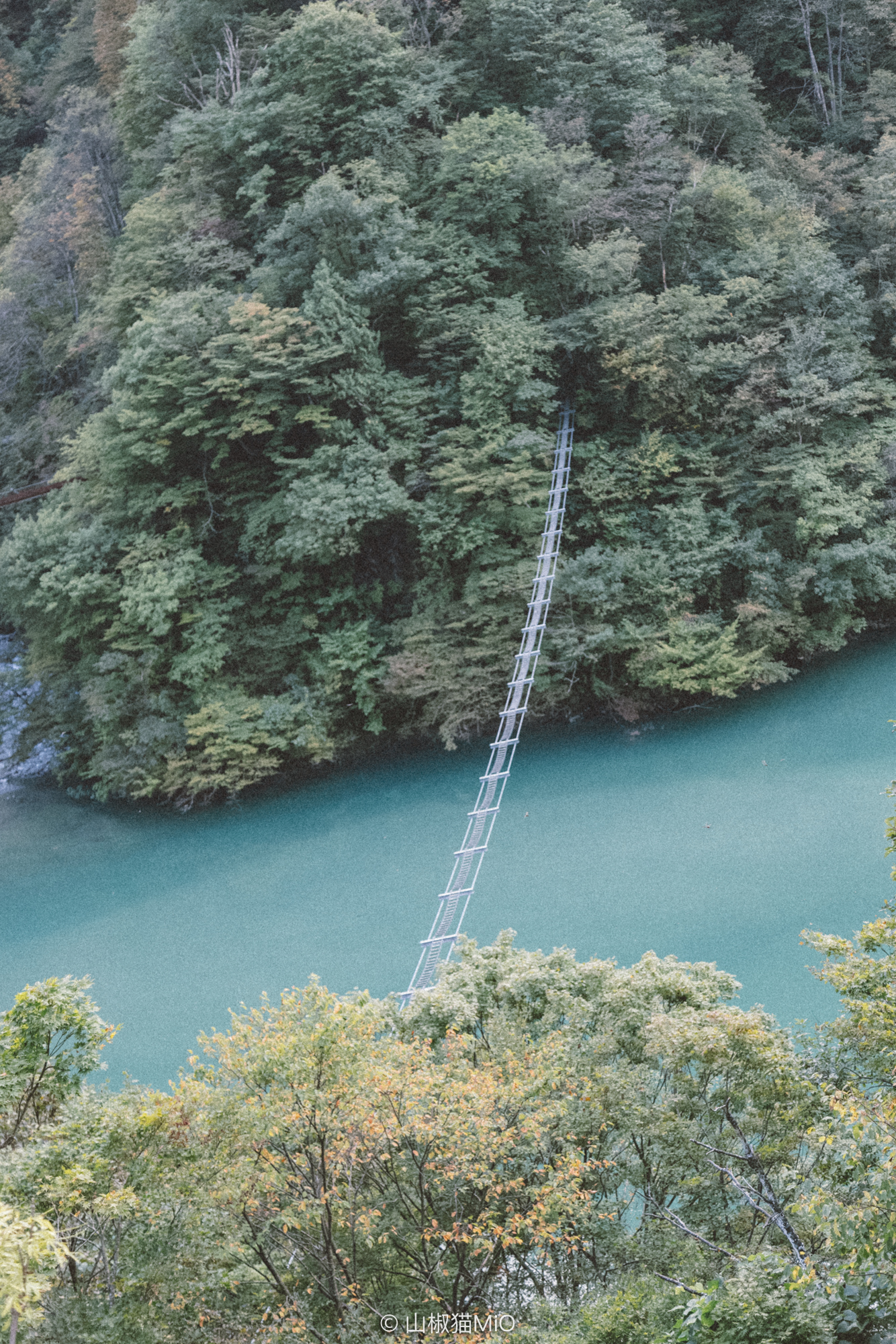 白川鄉自助遊攻略