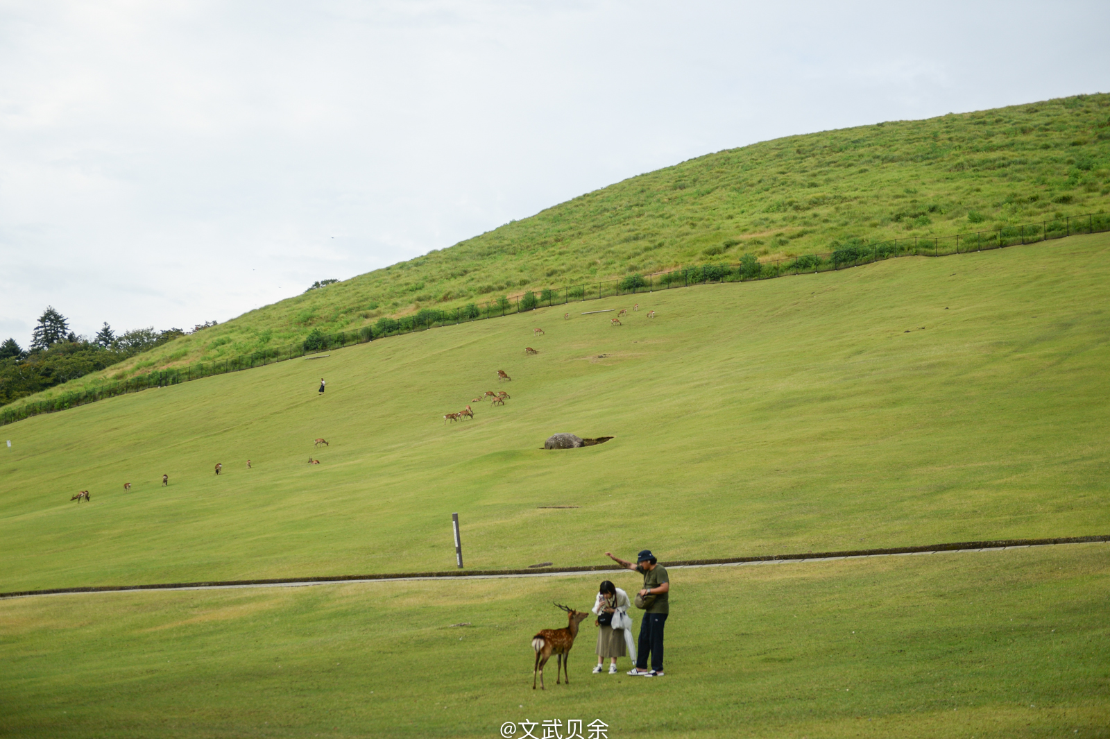 奈良自助遊攻略