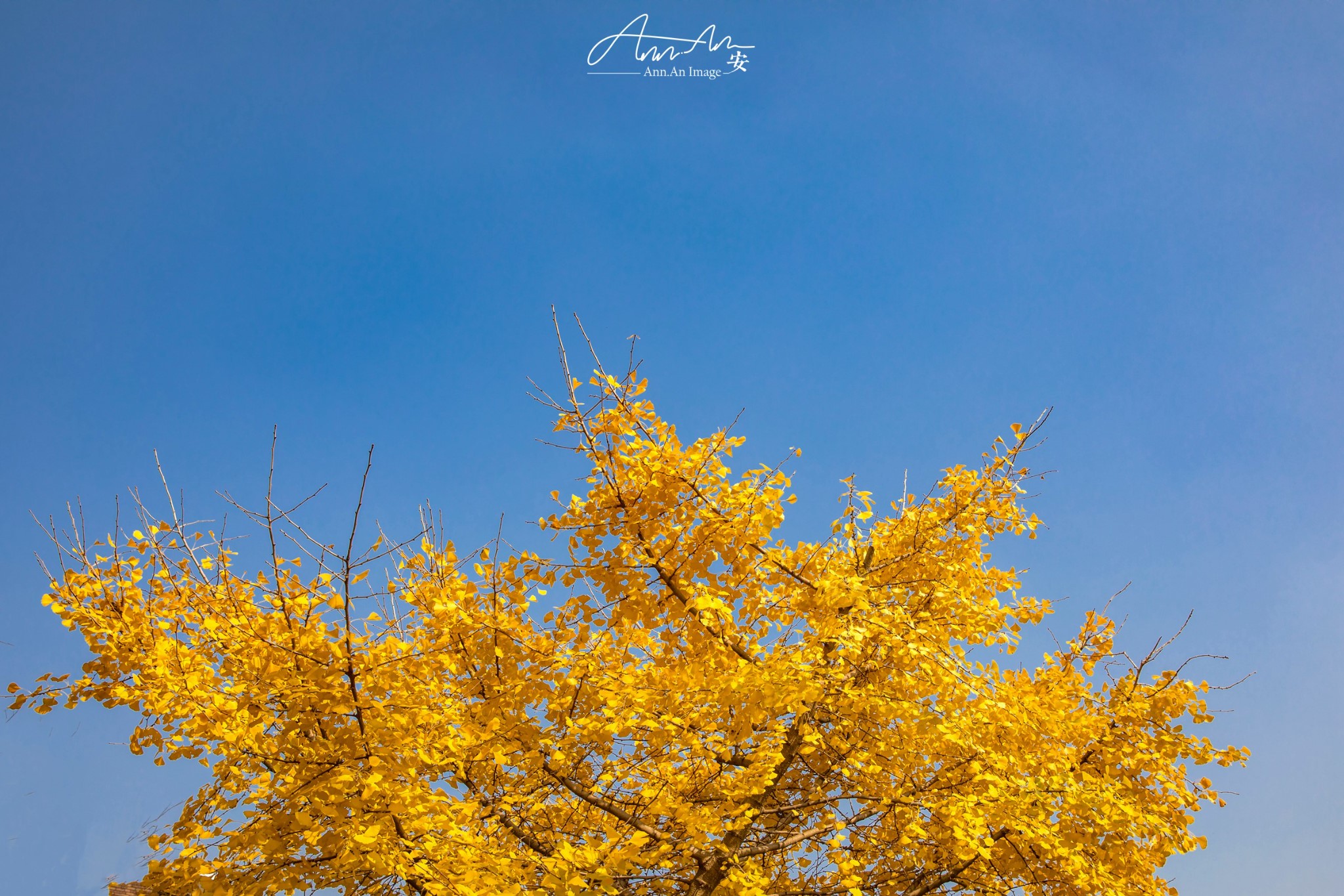 海盐小城给你的温柔盐系周末