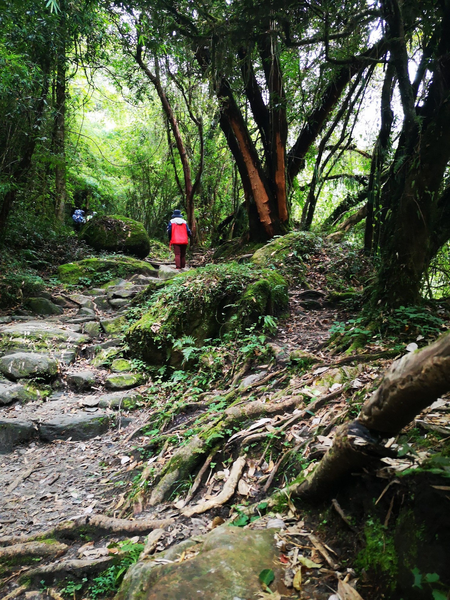 尼泊爾自助遊攻略