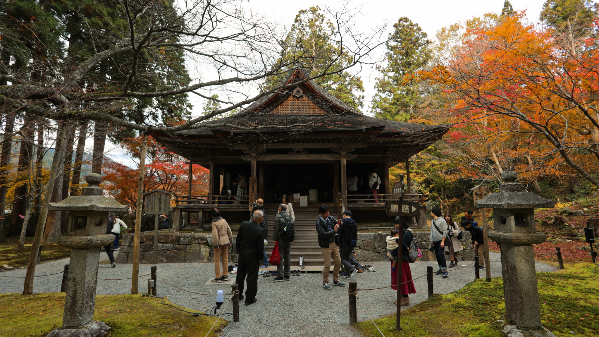 京都自助遊攻略