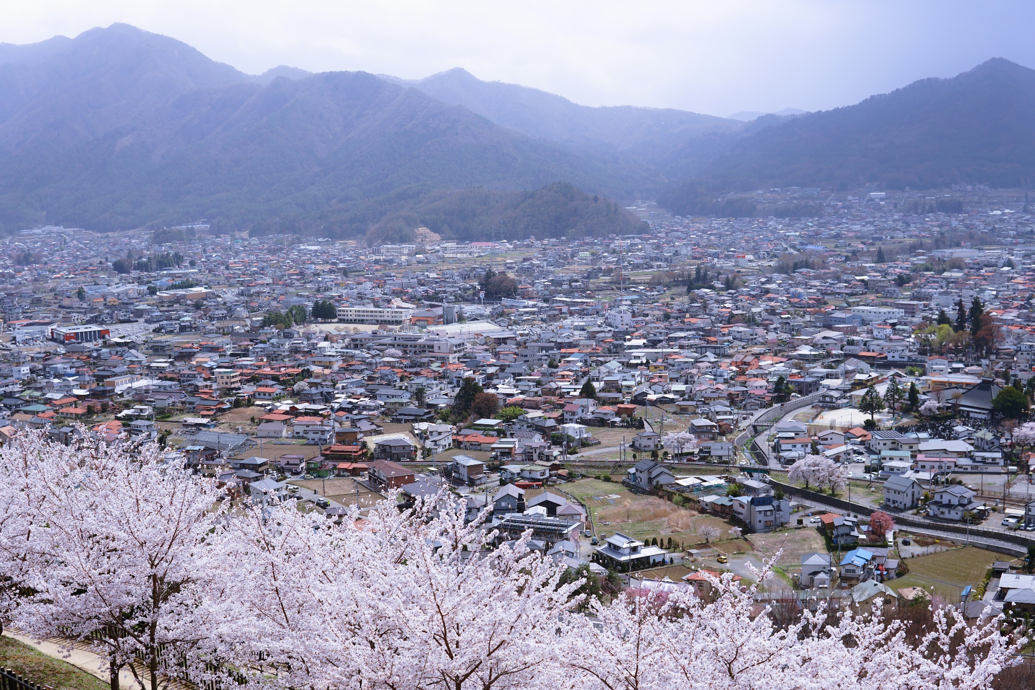 東京自助遊攻略