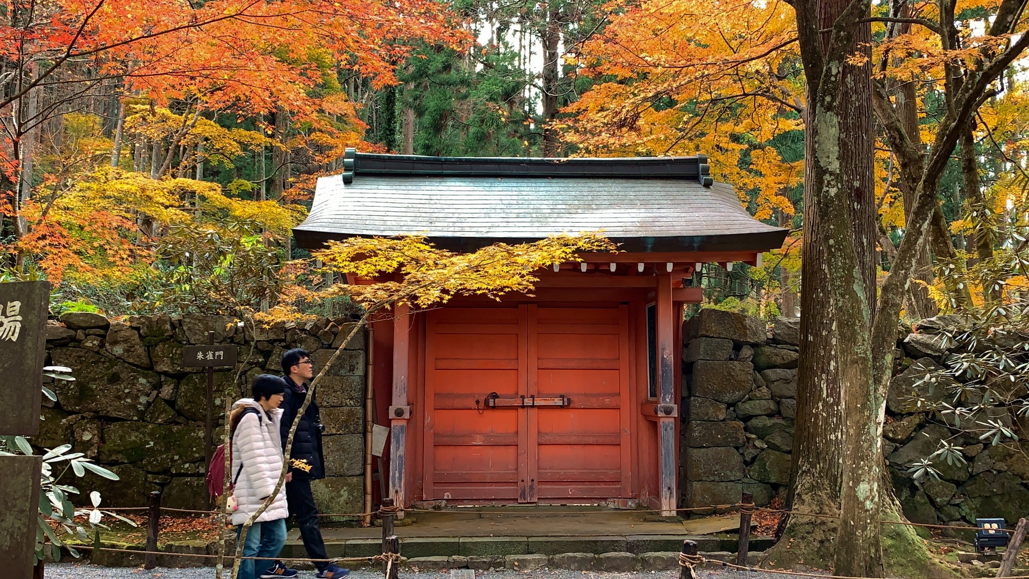 京都自助遊攻略