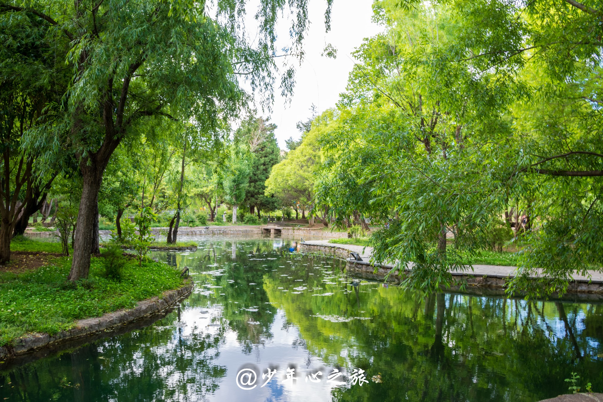 雲南自助遊攻略