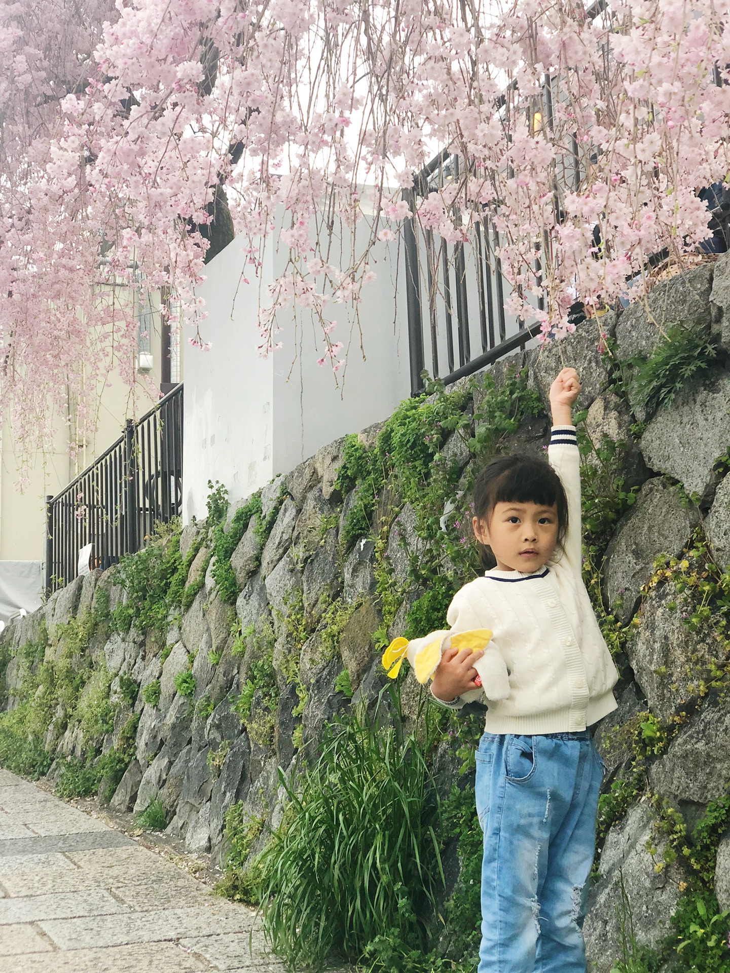 京都自助遊攻略