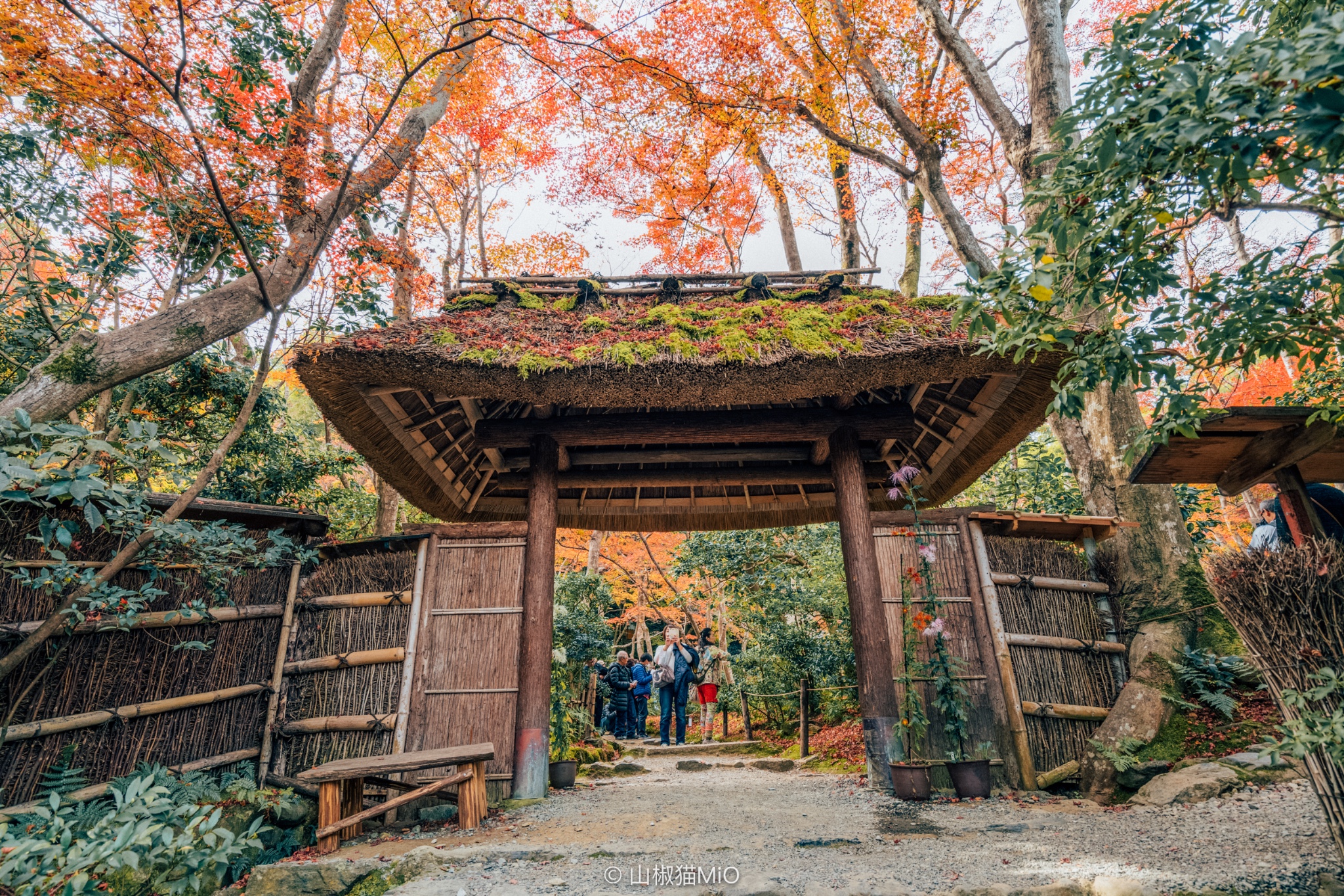 京都自助遊攻略