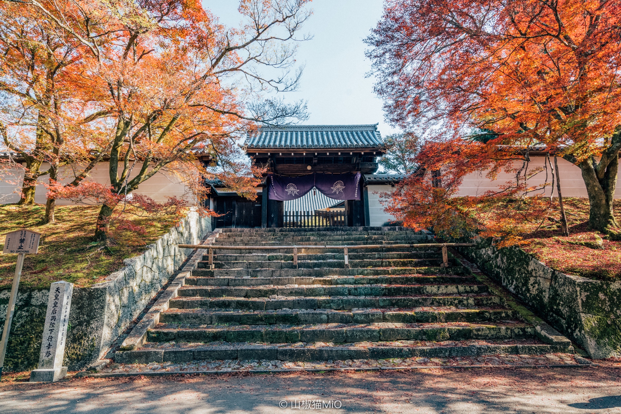 京都自助遊攻略