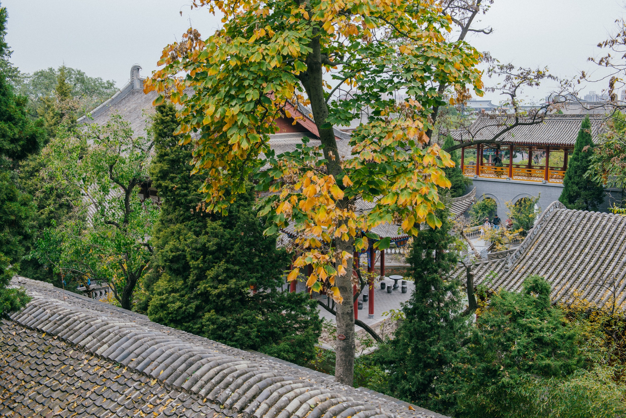 【西安】浮生三日,长安城里寻古风