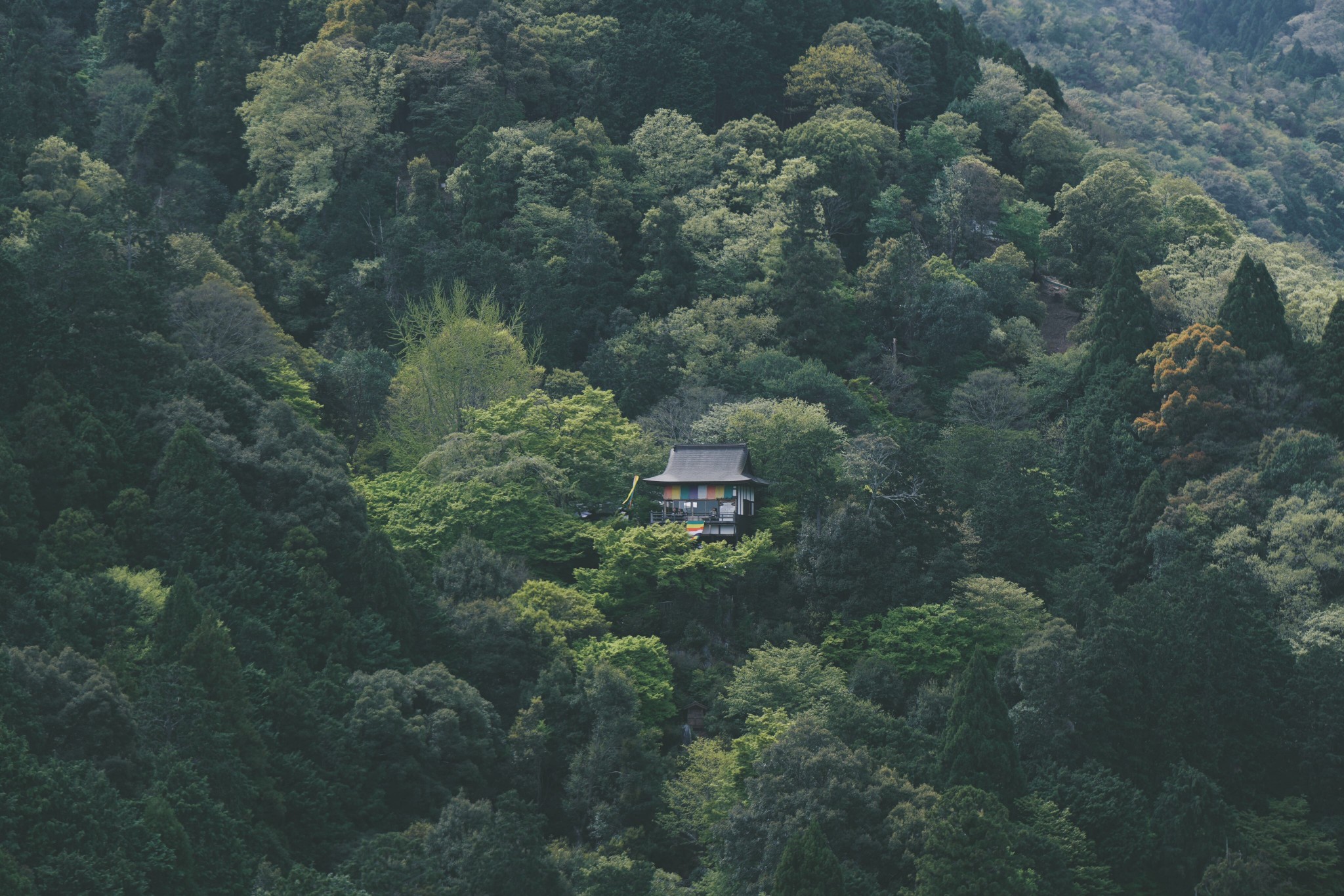 京都自助遊攻略