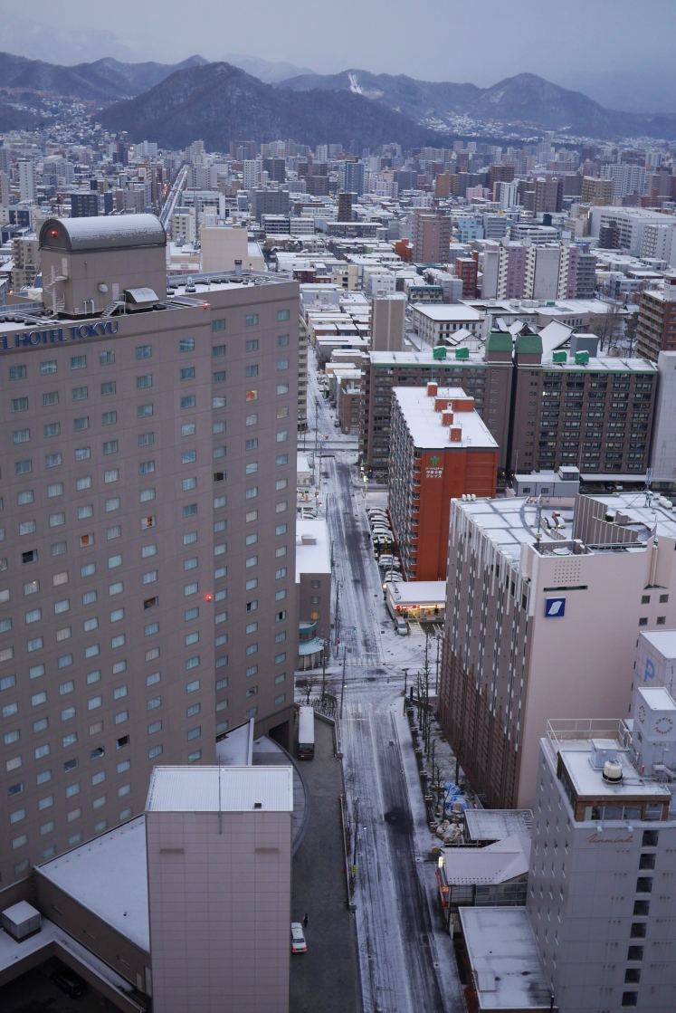 北海道自助遊攻略