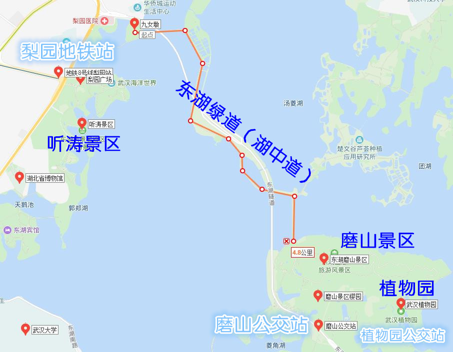 武汉植物园,东湖听涛景区和东湖磨山景区应该怎么安排游玩线路?