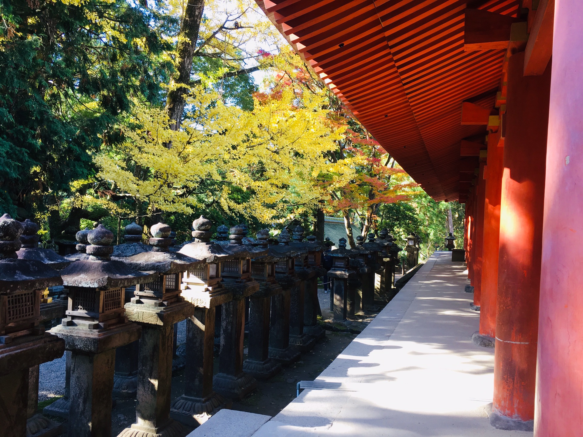 京都自助遊攻略